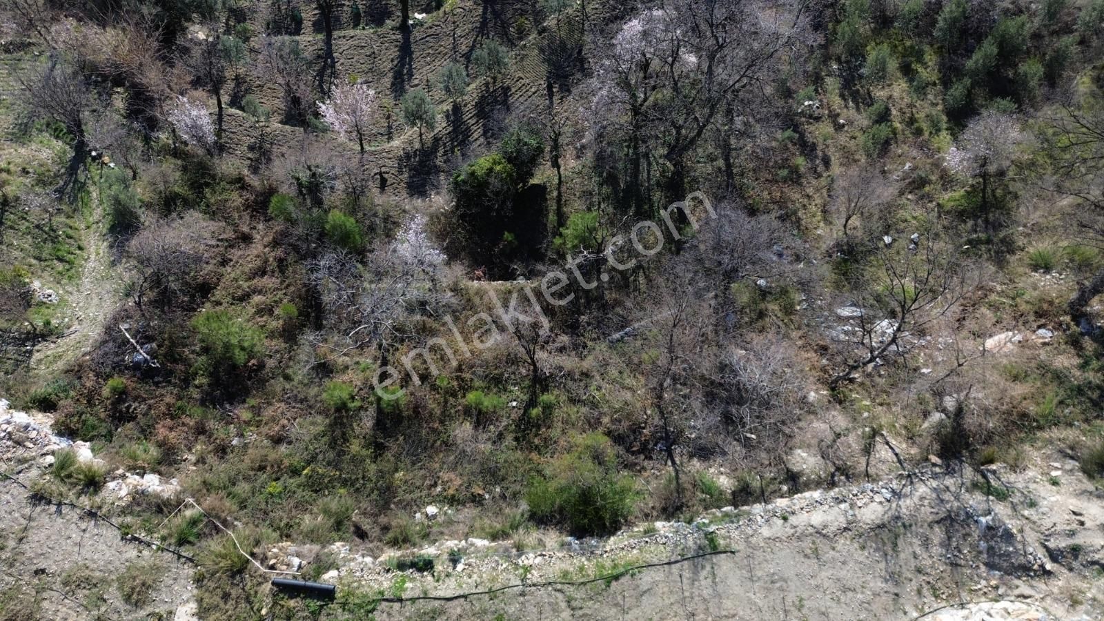 Yaylakonak Mahallesi’nde Satılık 1.110 M² Tarla