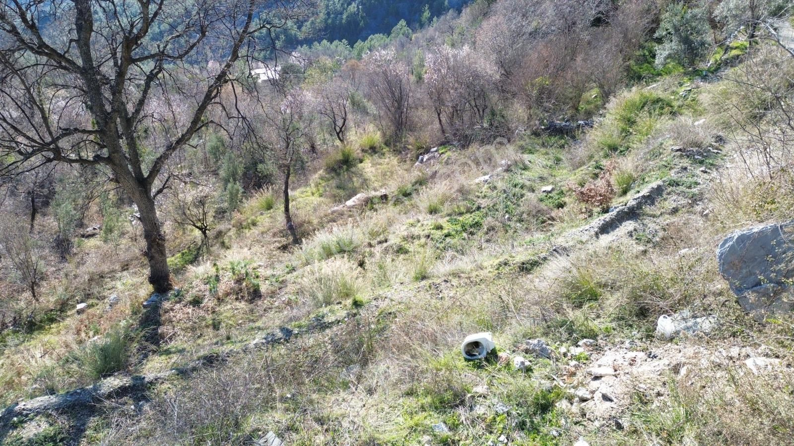 Yaylakonak Mahallesi’nde Satılık 1.110 M² Tarla - Görsel 12