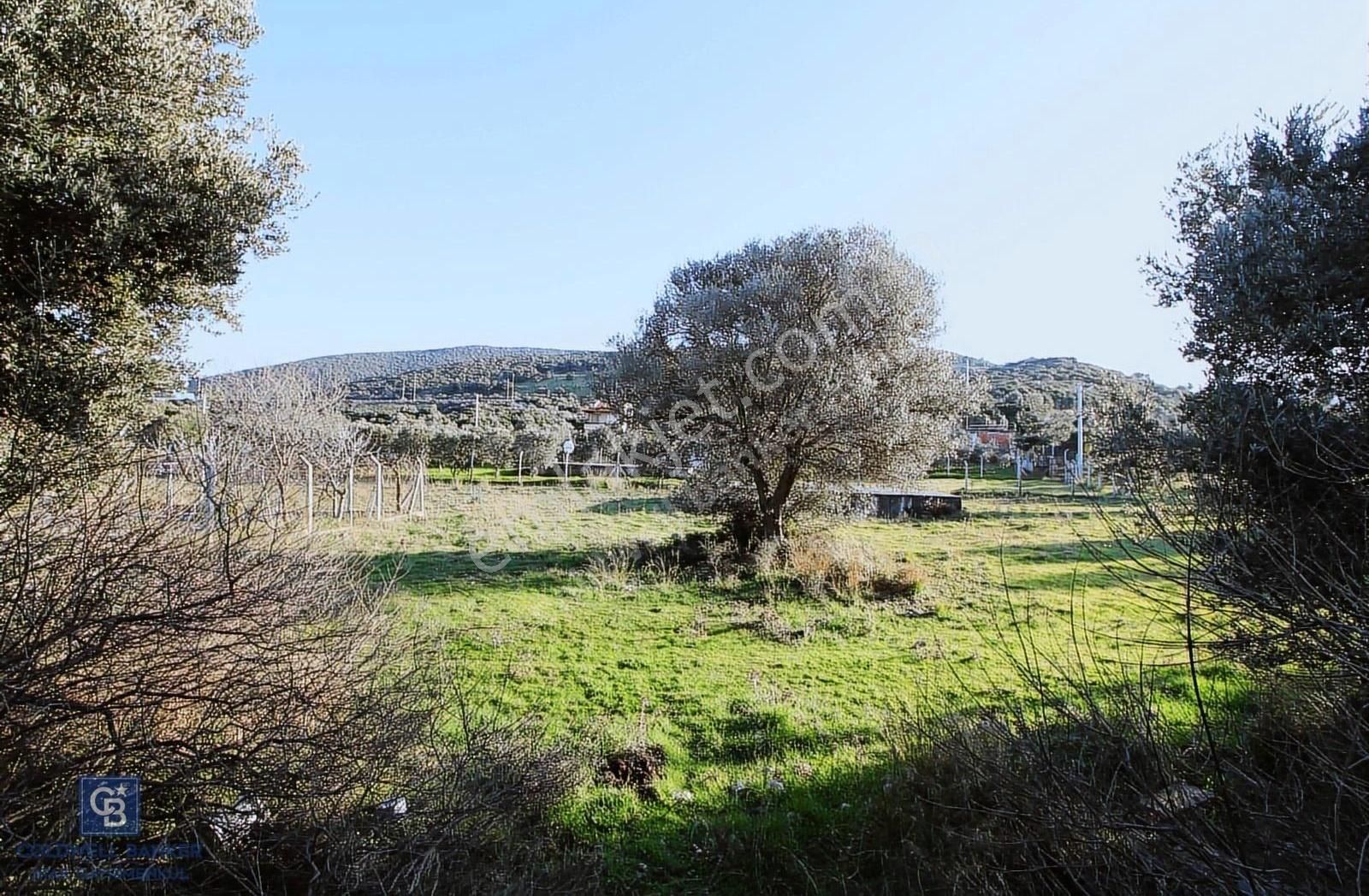 Urla Da Satılık Malikane Arsası Karaburun Gişelerinin Yanında - Görsel 7