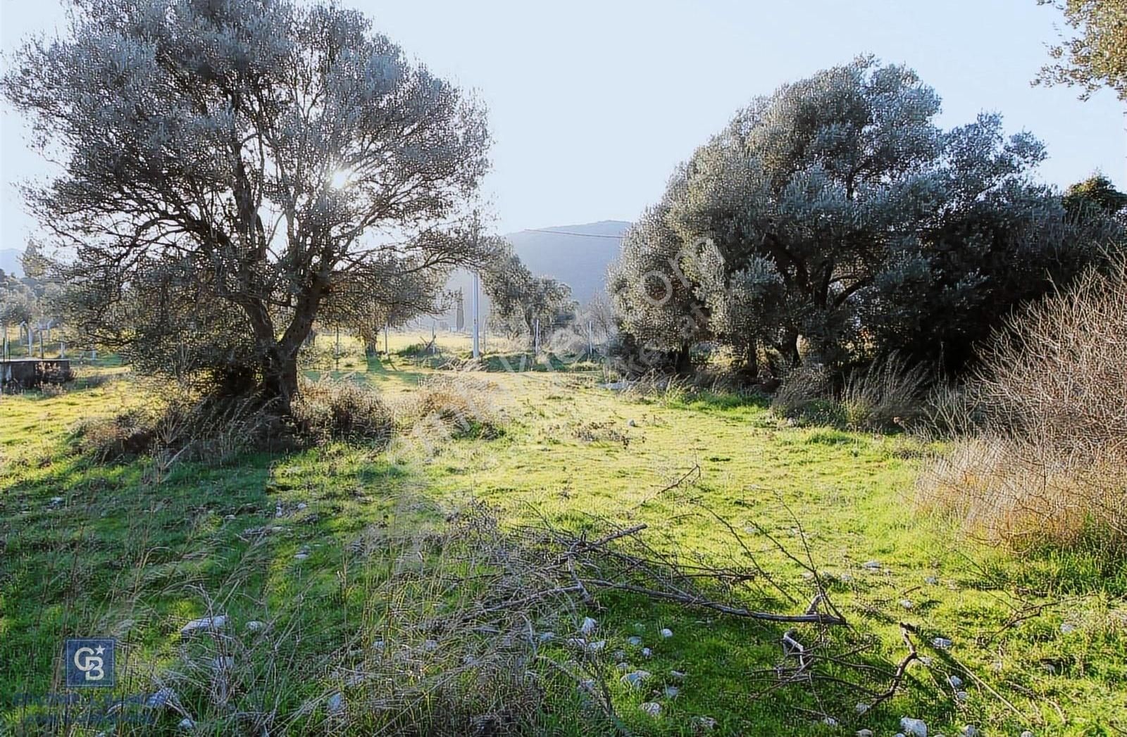 Urla Da Satılık Malikane Arsası Karaburun Gişelerinin Yanında - Görsel 8