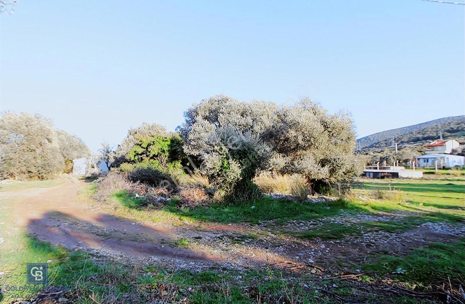 Urla Da Satılık Malikane Arsası Karaburun Gişelerinin Yanında - Görsel 9