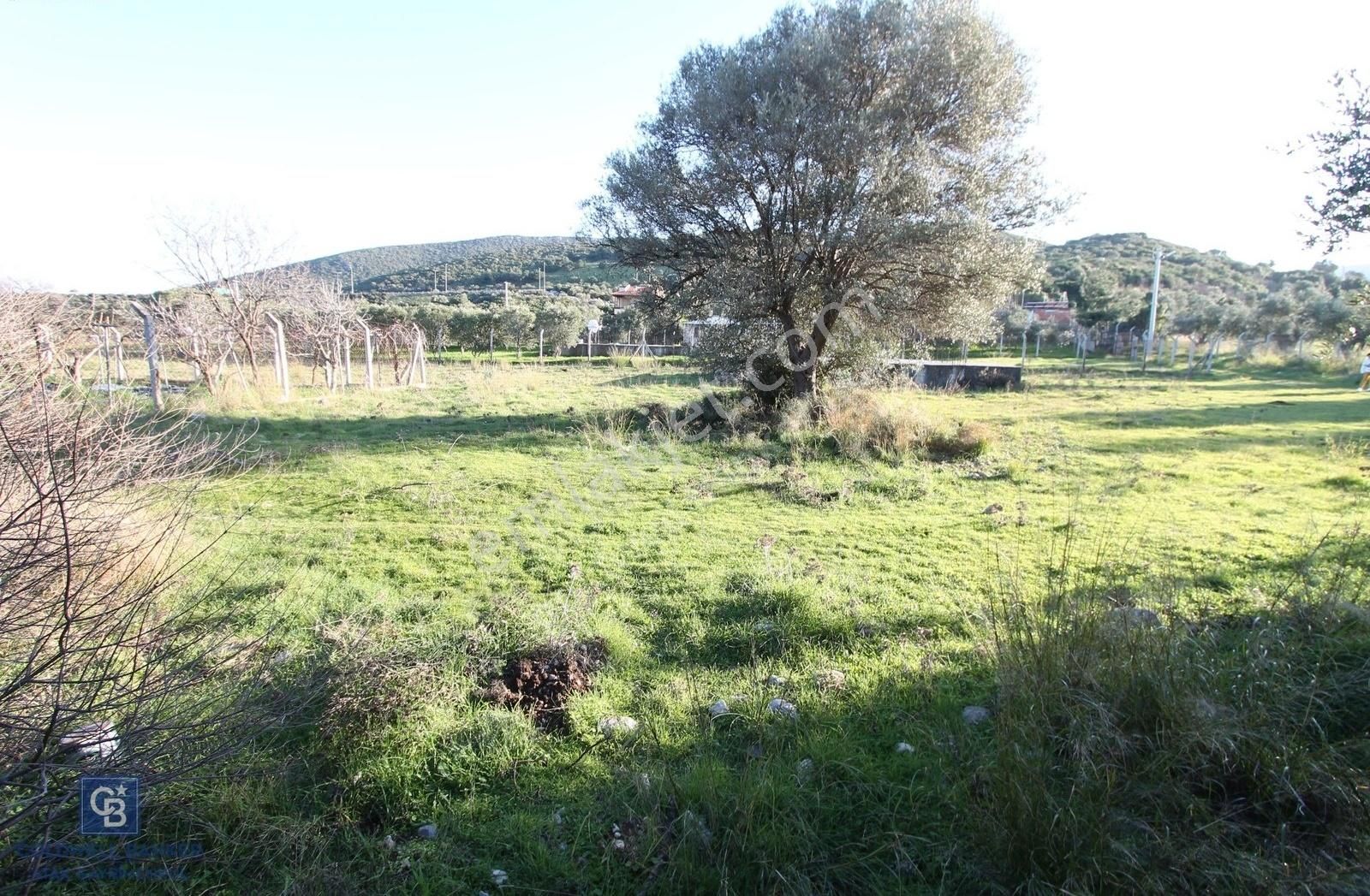 Urla Da Satılık Malikane Arsası Karaburun Gişelerinin Yanında - Görsel 13