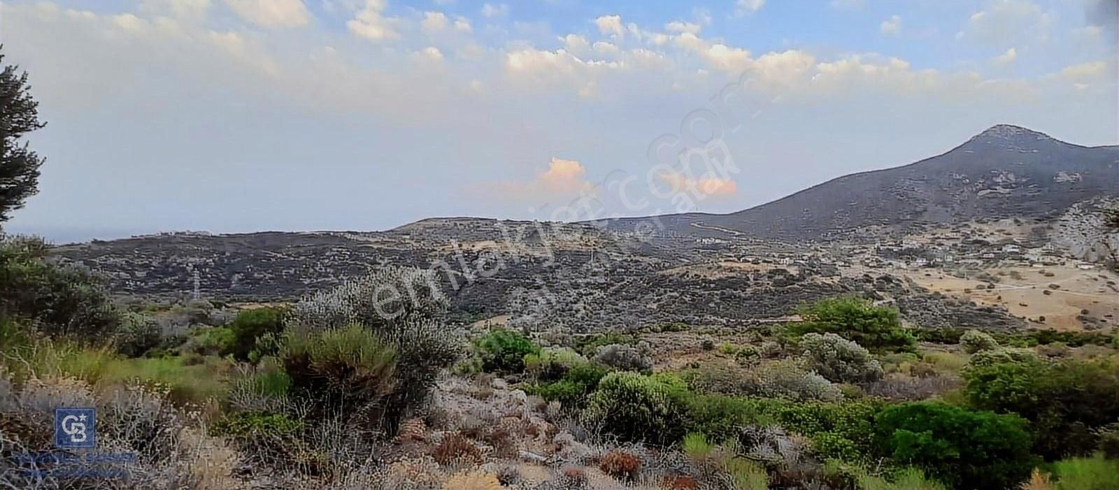 Satılık Zeytin Ağaçlı Tarla Bozköy Mahallesi / Karaburun - Görsel 13