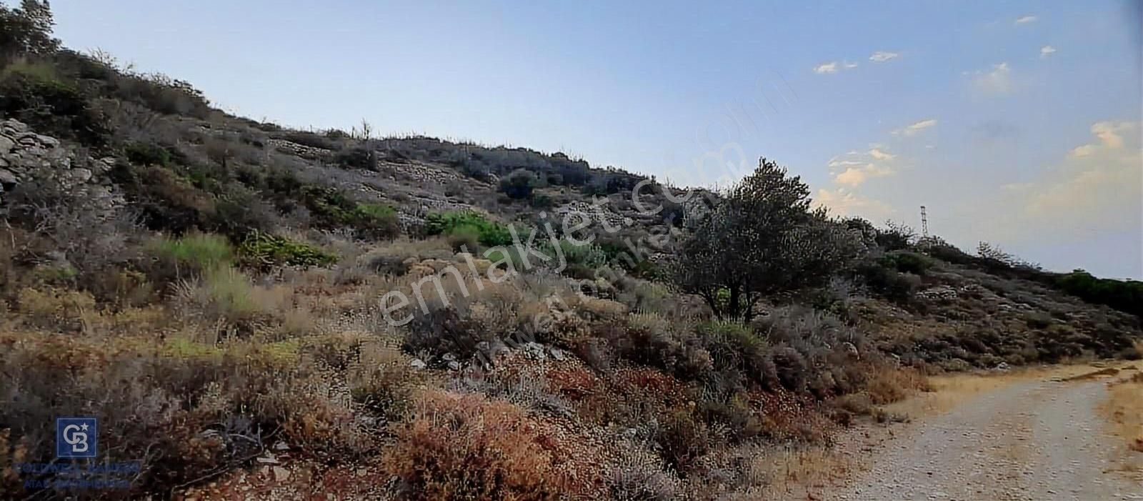 Satılık Zeytin Ağaçlı Tarla Bozköy Mahallesi / Karaburun - Görsel 3