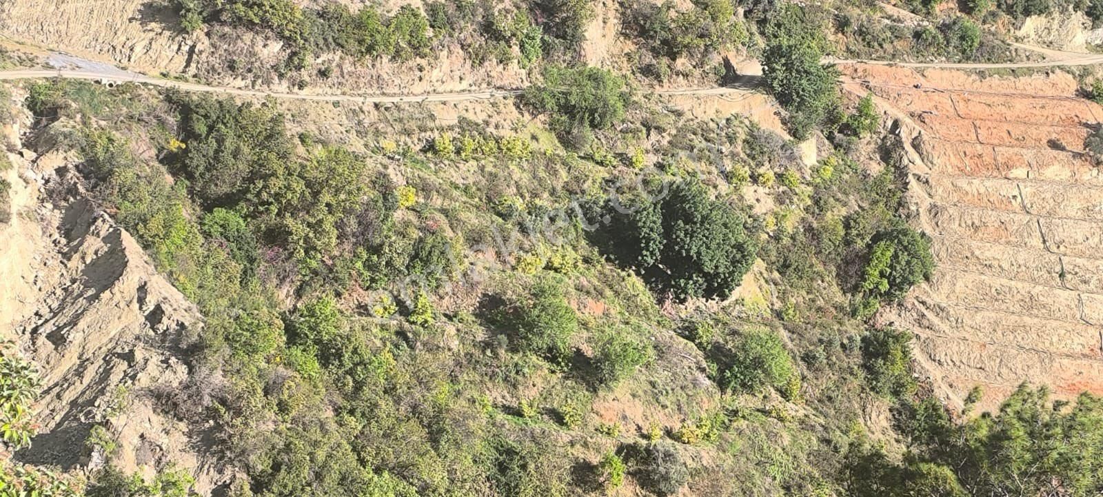 İnal Mahallesinde Uygun Fiyat Satılık 20 Dönüm Avokado Bahçesi - Görsel 10