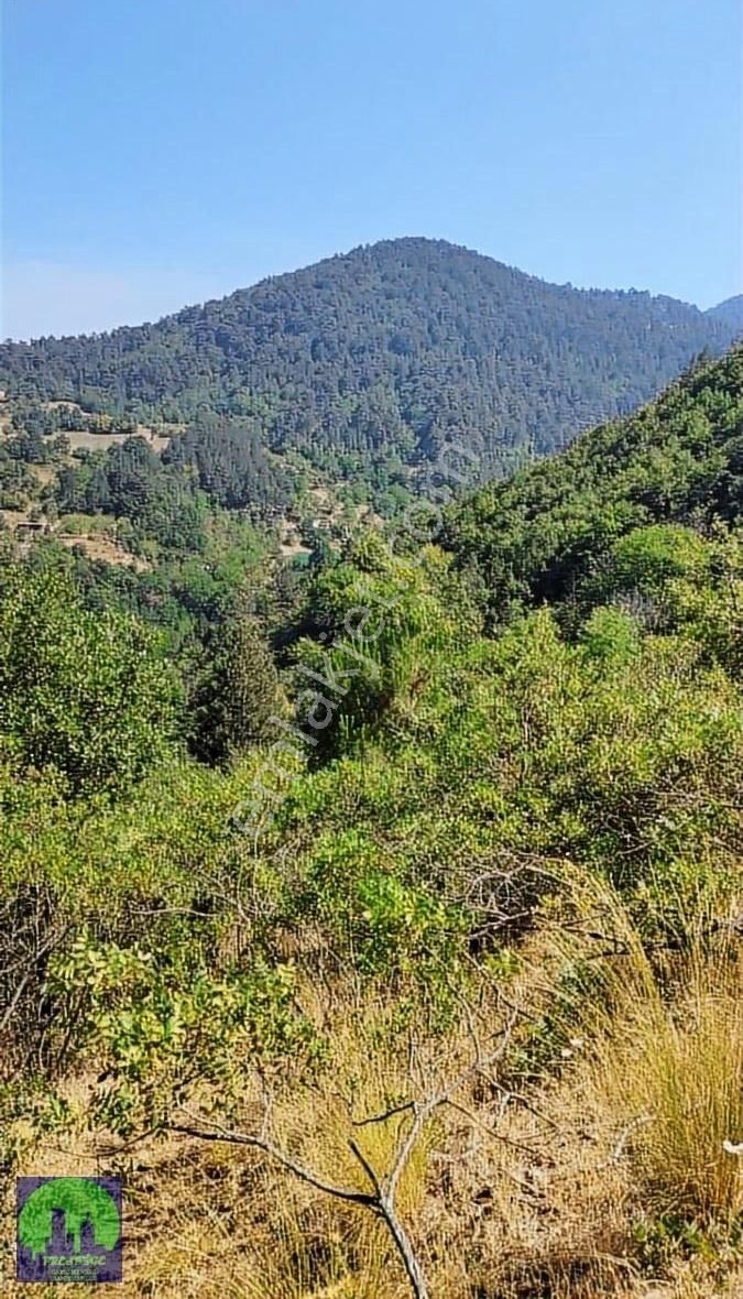 Uluçam Da Muhteşem Manzaralı Köy İçi - Görsel 2