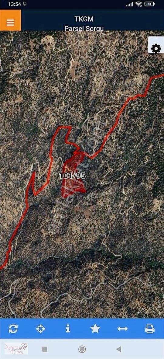 Söke Balcılar Mevkinde,47-5"dönüm Zeytinlik Acil Satılık. - Görsel 6