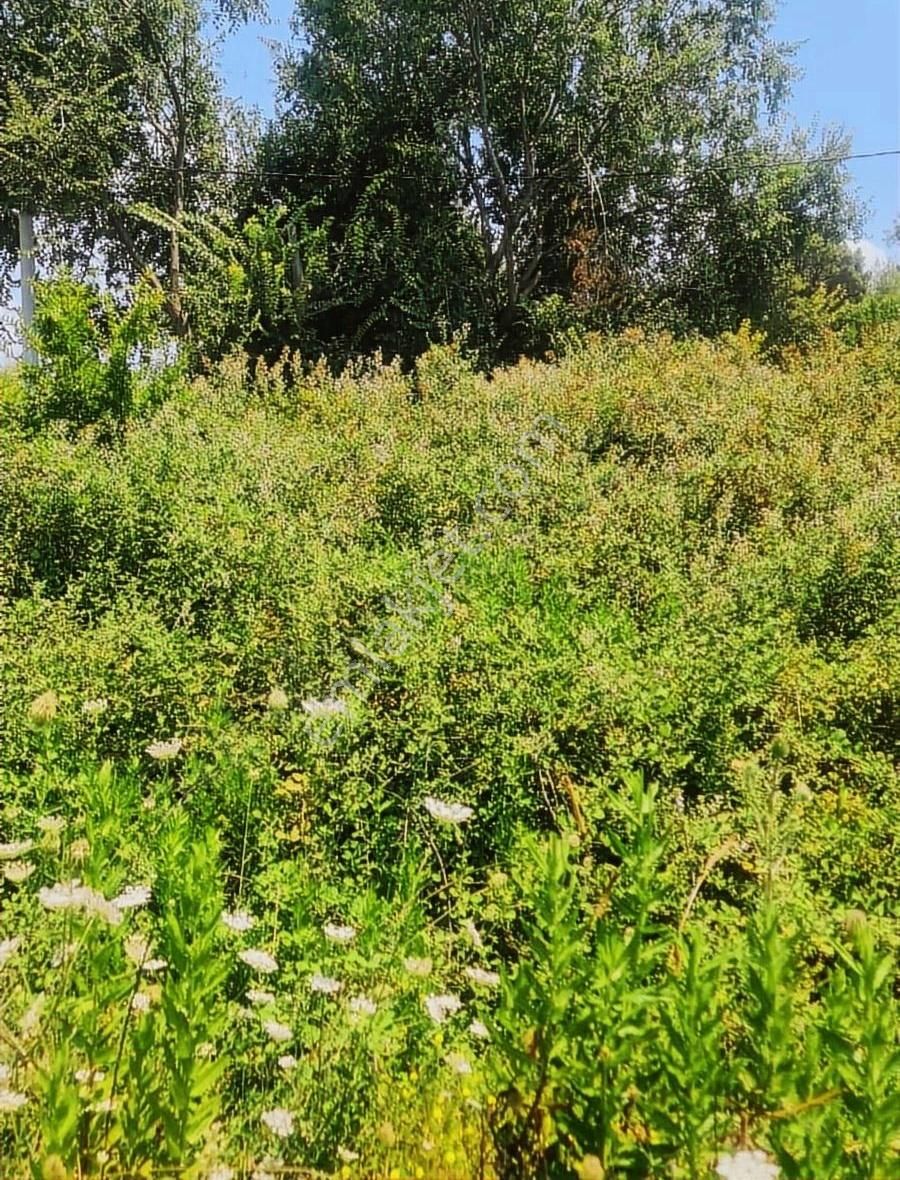 Gerişburnu Mh.596 M2 % 20±40 Satılık İmarlı Arsa. - Görsel 29