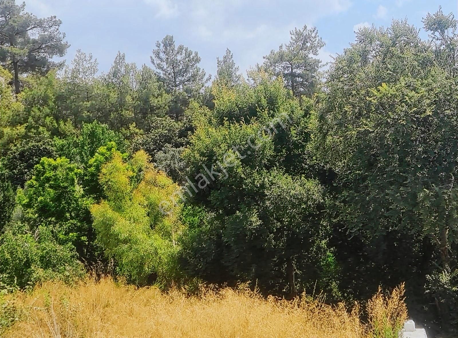 Gerişburnu Mh.596 M2 % 20±40 Satılık İmarlı Arsa. - Görsel 6