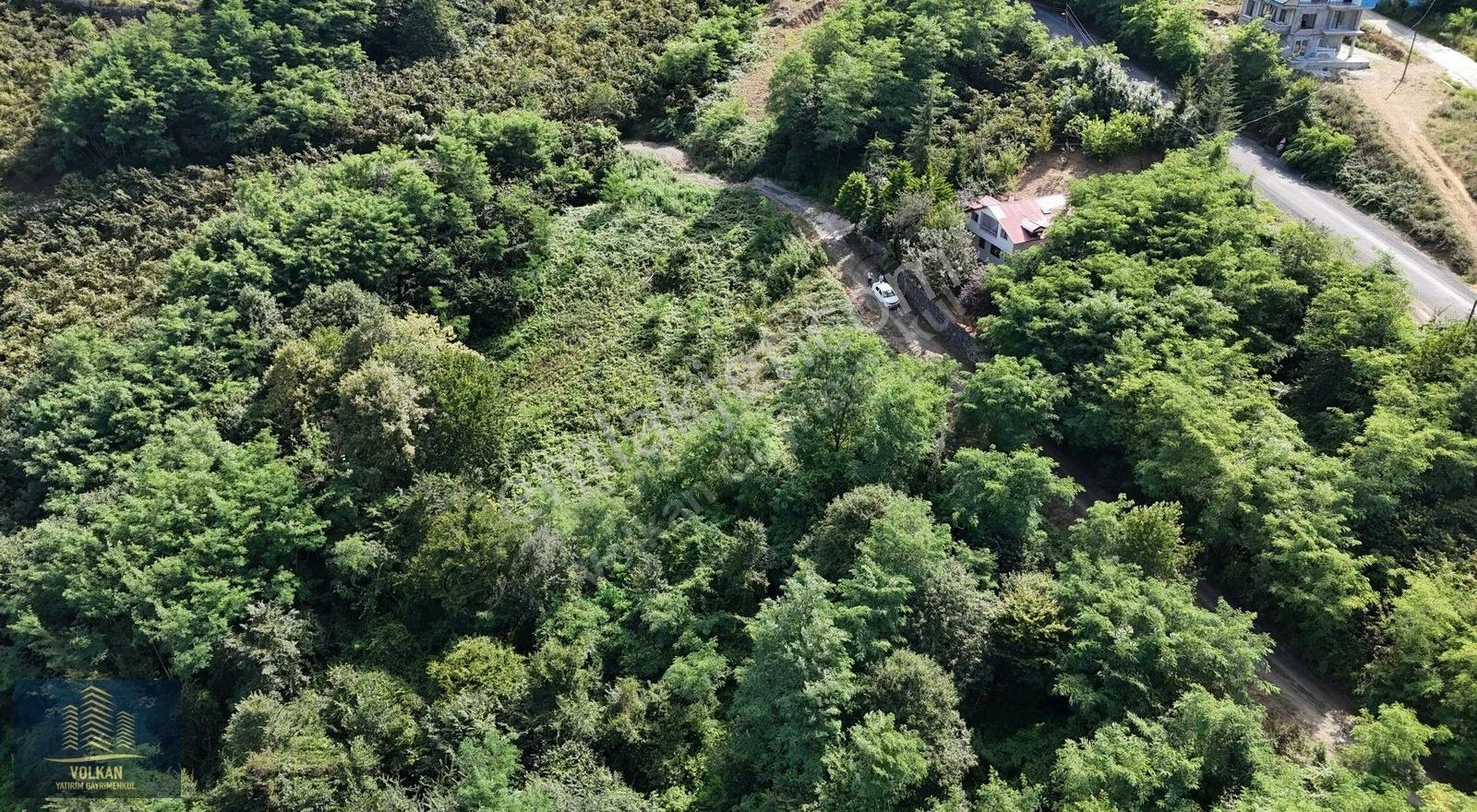 Ortahisar Yeşilhisar'da 2235 M2 Yolu Açılmış Mustakil Arsa - Görsel 18