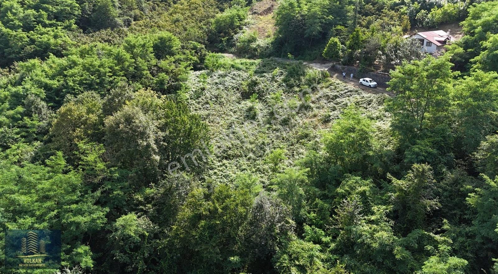 Ortahisar Yeşilhisar'da 2235 M2 Yolu Açılmış Mustakil Arsa - Görsel 17