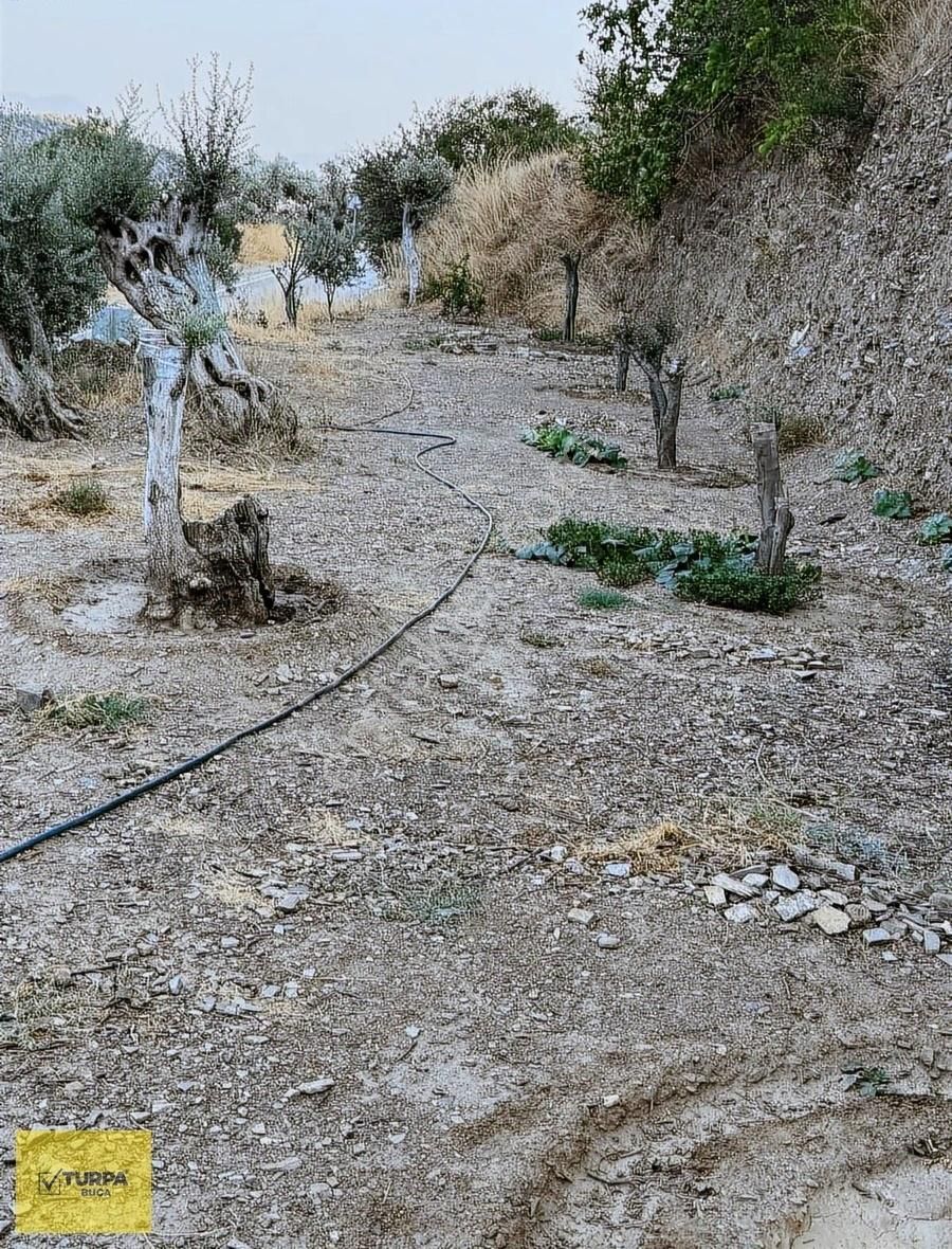 Turpa Buca'dan Bayındırda Ana Yol Üstü Tek Tapu Tarla - Görsel 4