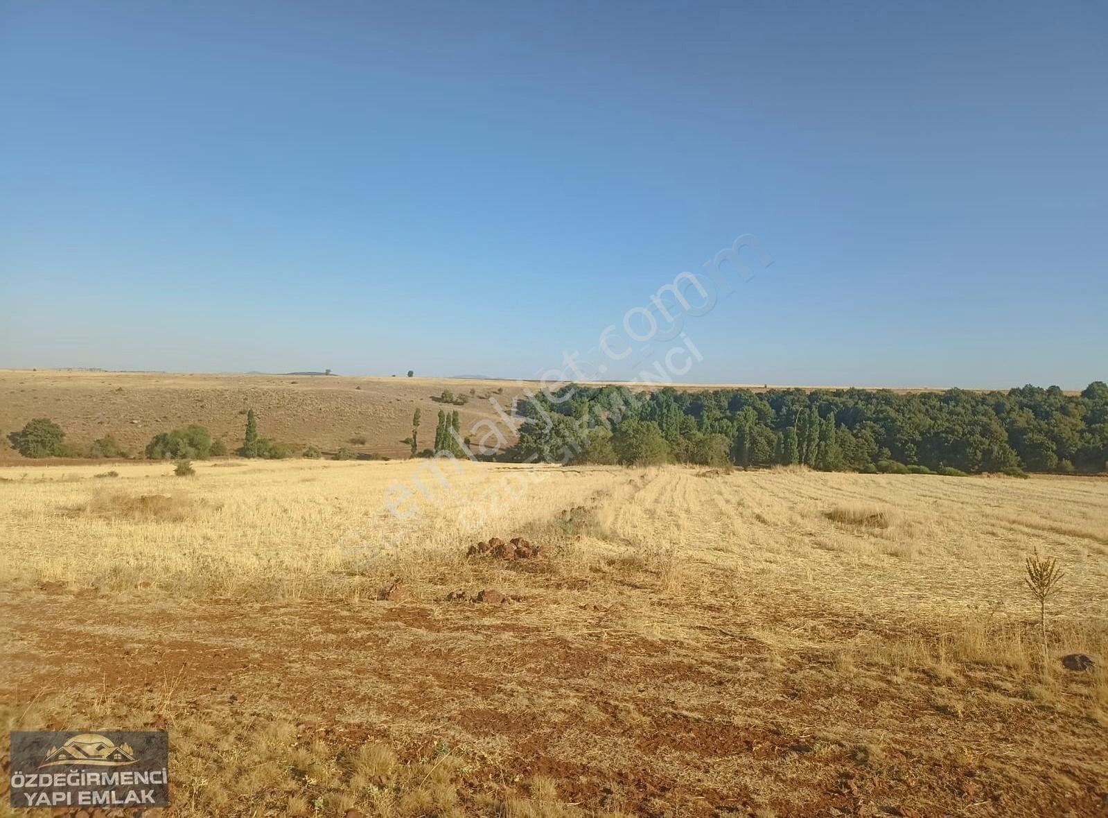 Özdeğirmenci Yapı-emlaktan Satılık 20.442 M2 Tarla - Görsel 4