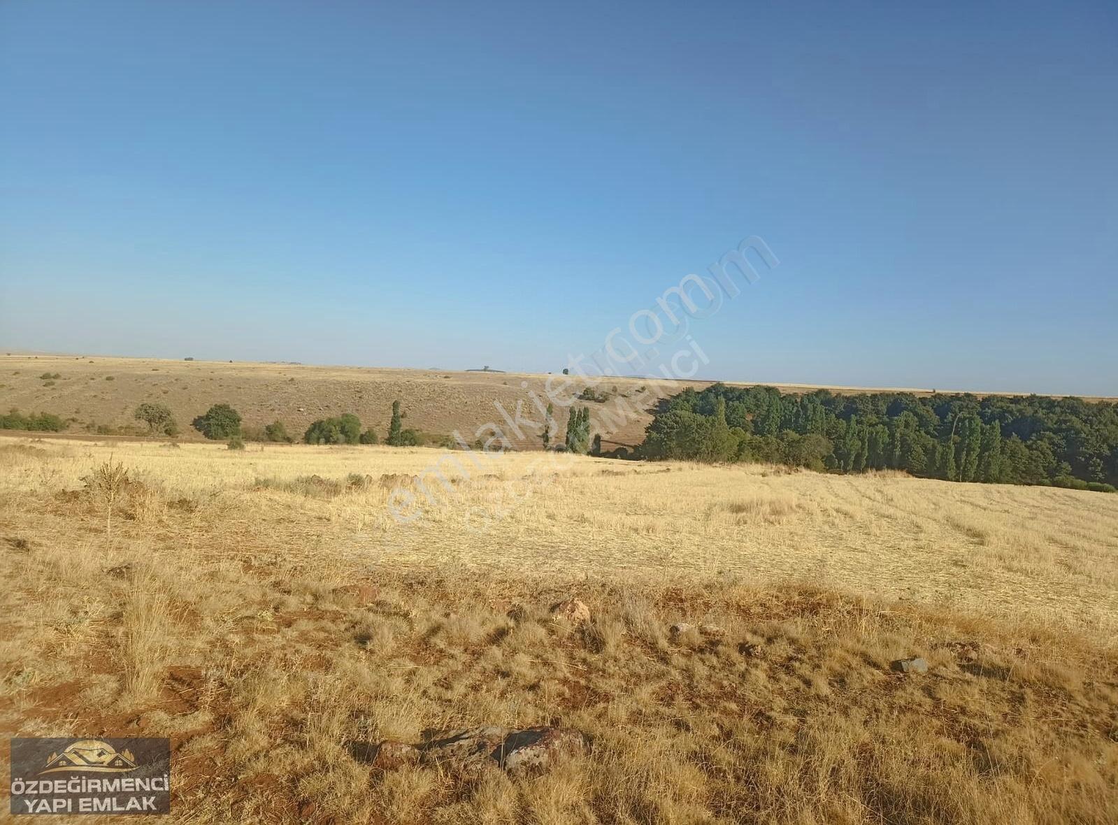 Özdeğirmenci Yapı-emlaktan Satılık 20.442 M2 Tarla - Görsel 3