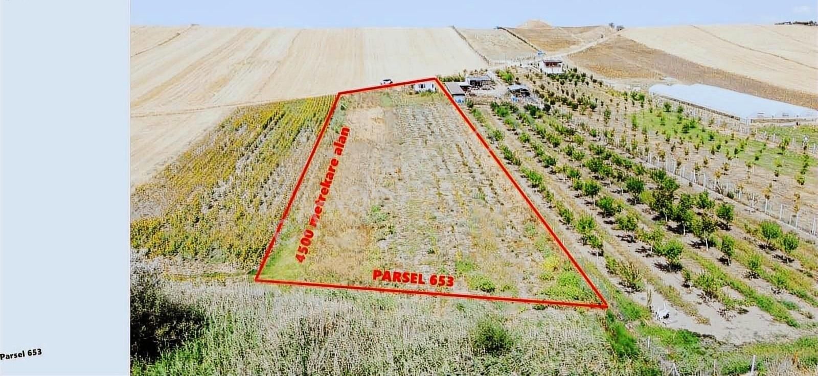Ayvalı'da Satılık Bağ Bahçe