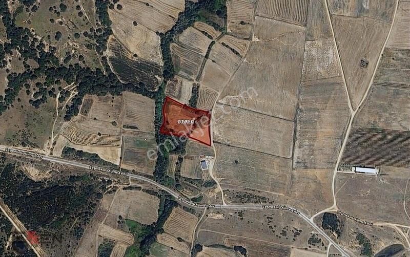 Kırklareli Lüleburgaz Çeşmekolu Köyünde 9838m Satılık Tarla