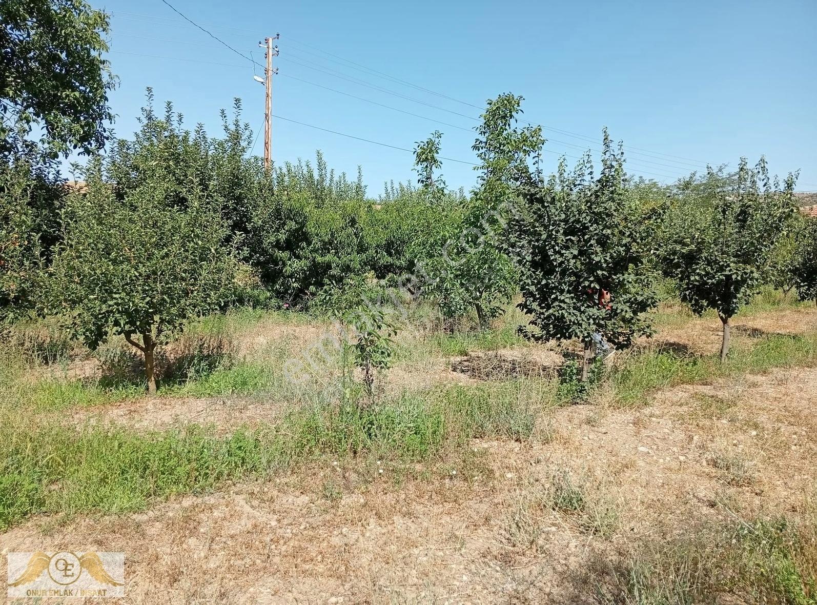 Değirmendere Yolunda İçinde Sıfır Evi Bulunan Satılık Arsa - Görsel 24