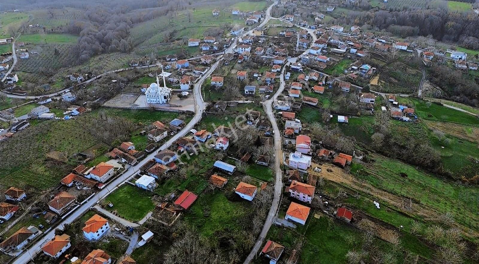 Serdivan Beşevler 6.753 Dönüm - Köy İçi Yol (m2 Fiyatı 1200) - Görsel 4