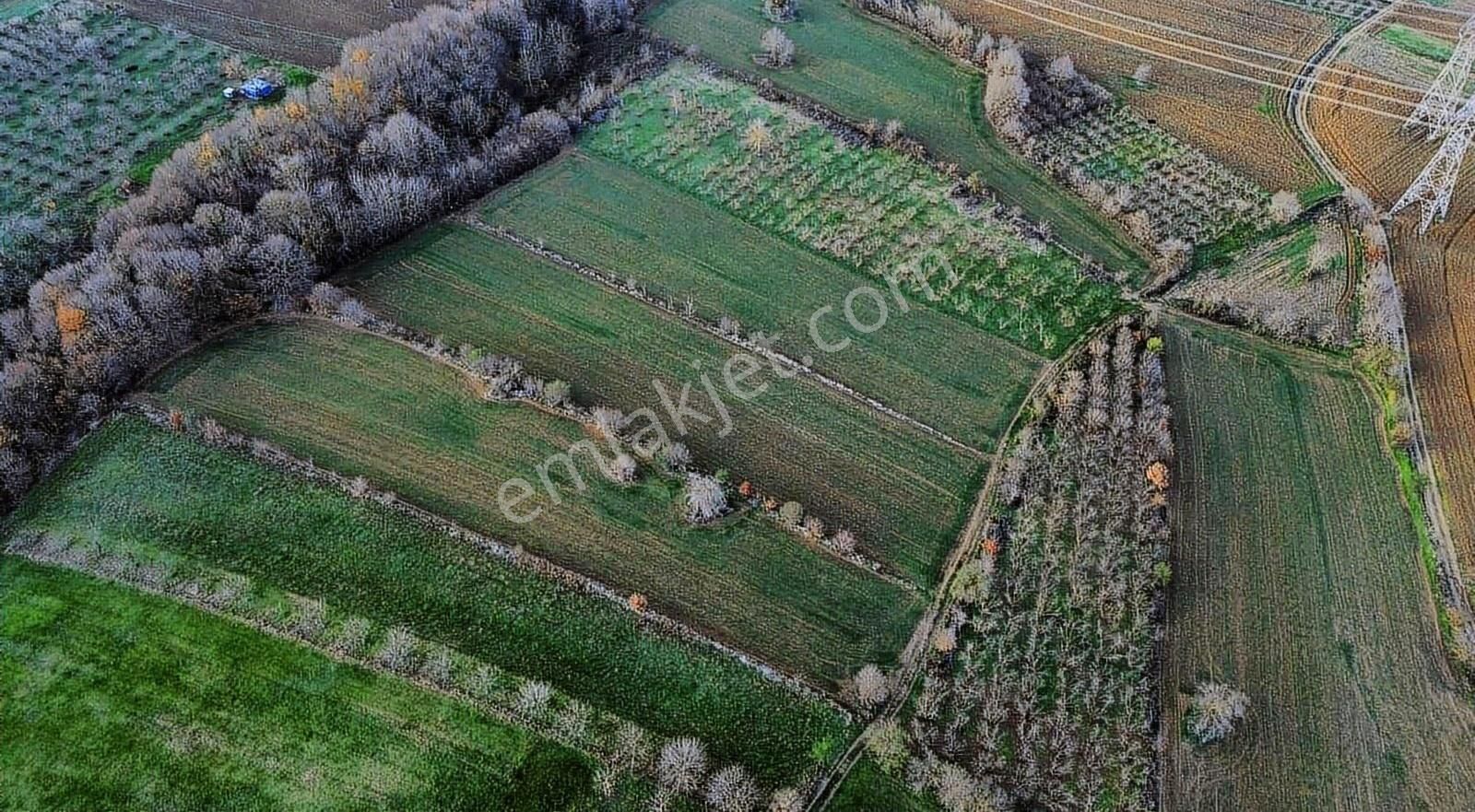 Serdivan Beşevler 6.753 Dönüm - Köy İçi Yol (m2 Fiyatı 1200) - Görsel 10