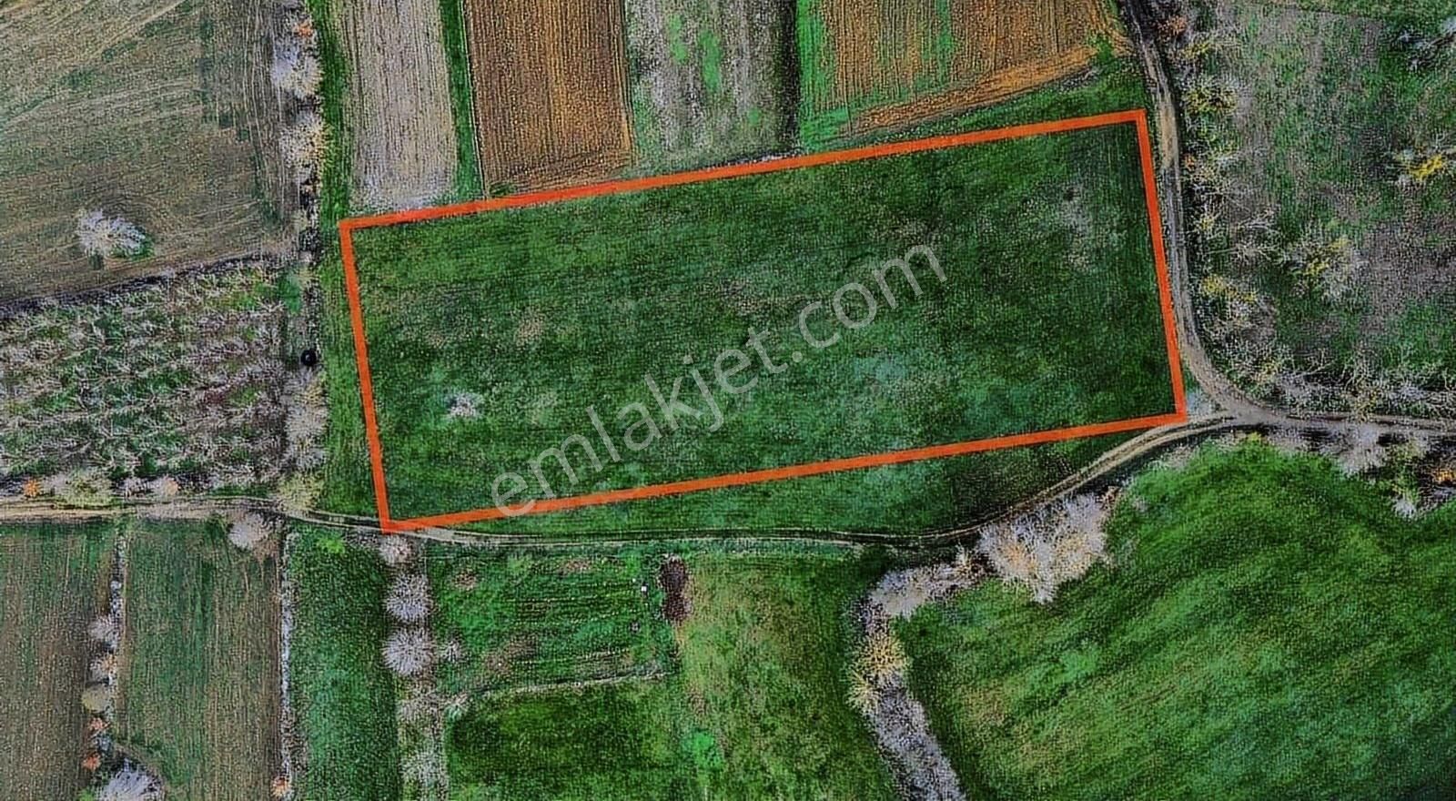 Serdivan Beşevler 6.753 Dönüm - Köy İçi Yol (m2 Fiyatı 1200) - Görsel 7