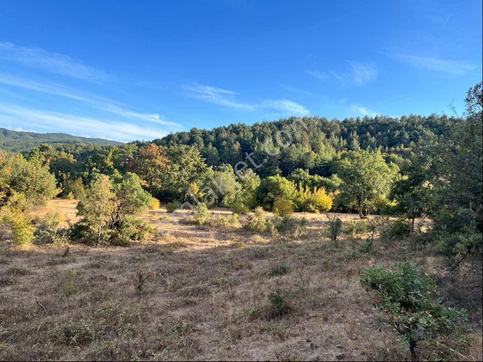Kadastro Yolu Var Arac İle Girilebilir Tarla - Görsel 17