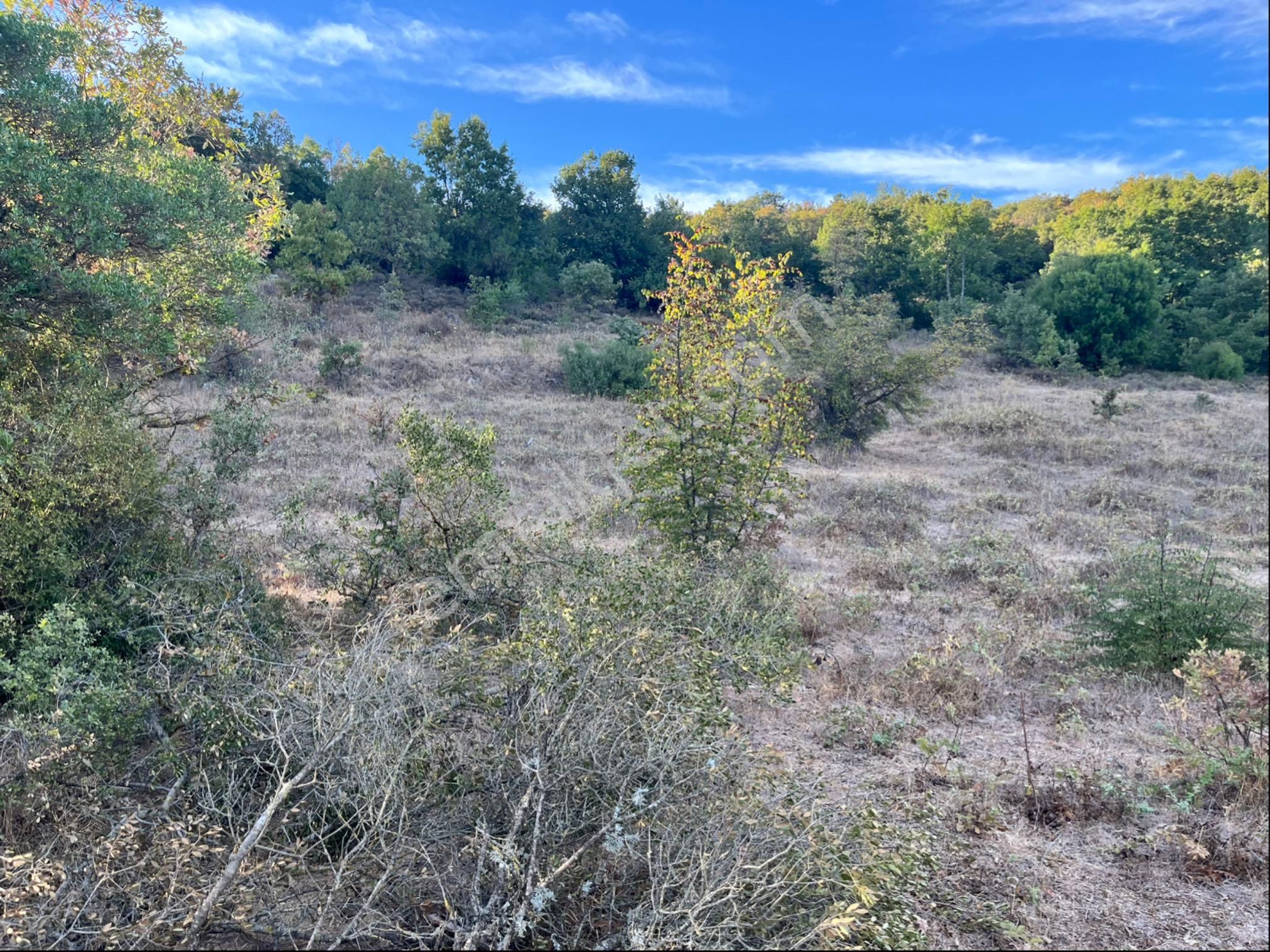 Kadastro Yolu Var Arac İle Girilebilir Tarla - Görsel 5