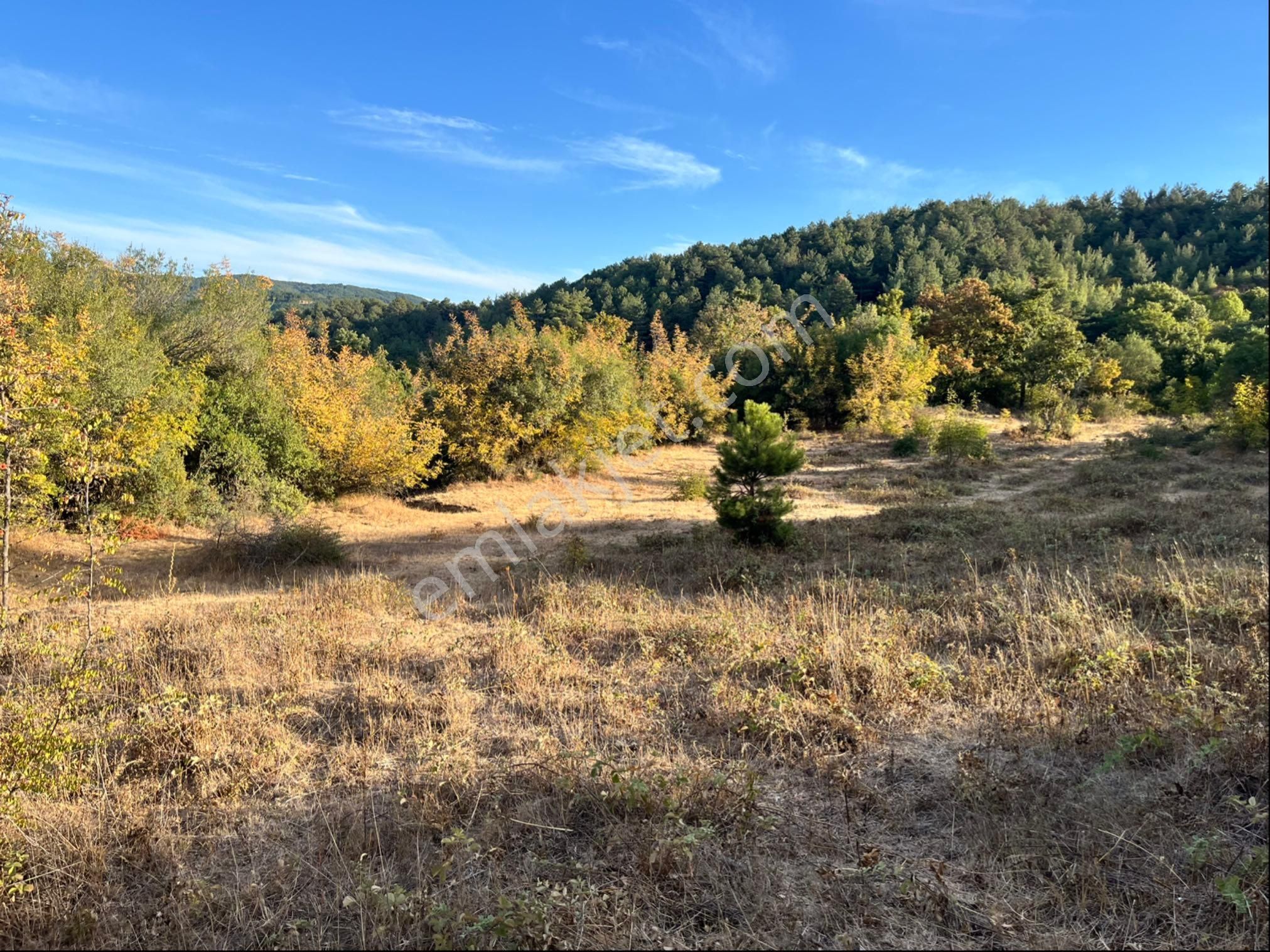 Kadastro Yolu Var Arac İle Girilebilir Tarla - Görsel 11