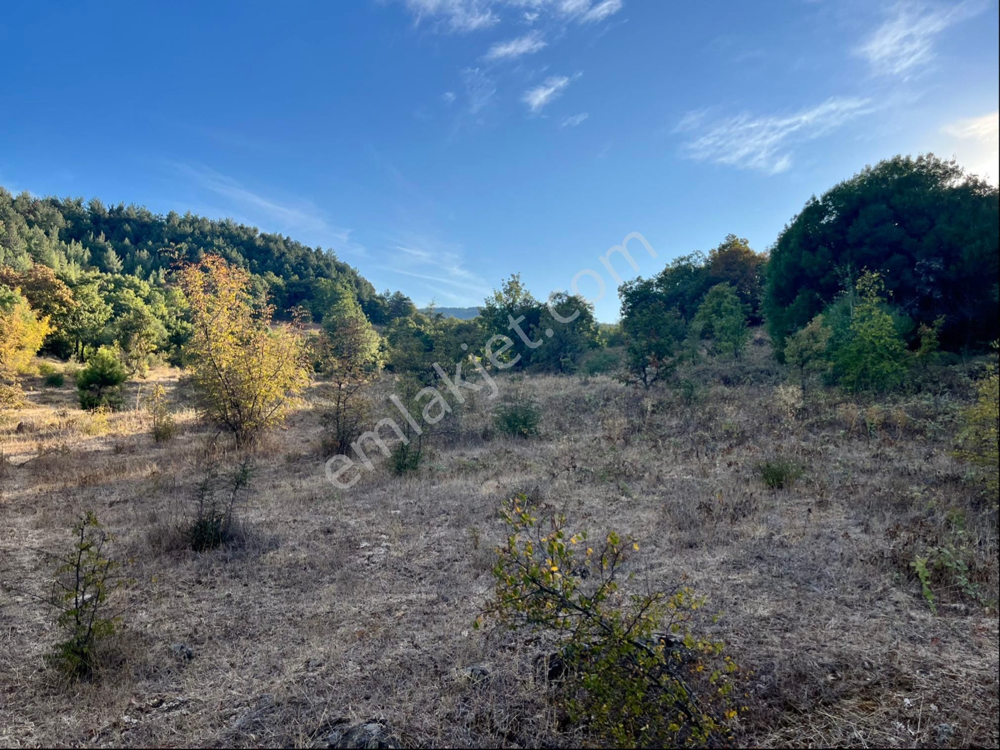 Kadastro Yolu Var Arac İle Girilebilir Tarla - Görsel 13