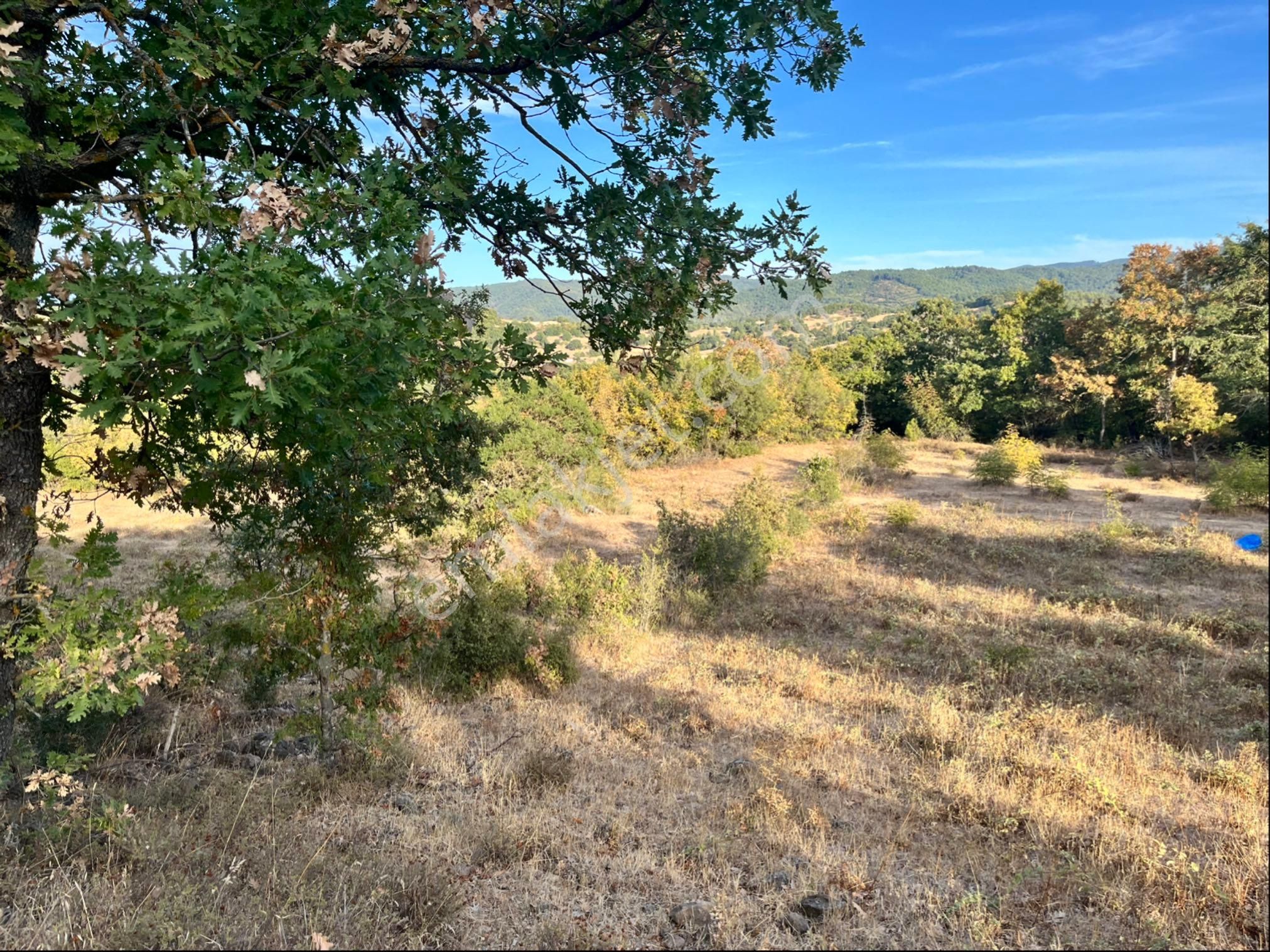 Kadastro Yolu Var Arac İle Girilebilir Tarla - Görsel 21
