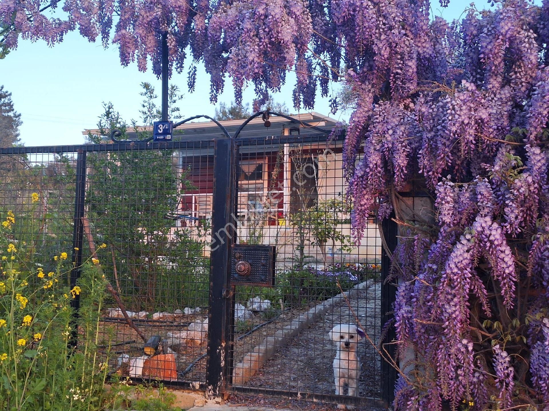Kuşadası, Villa İmarlı Arsa/ev