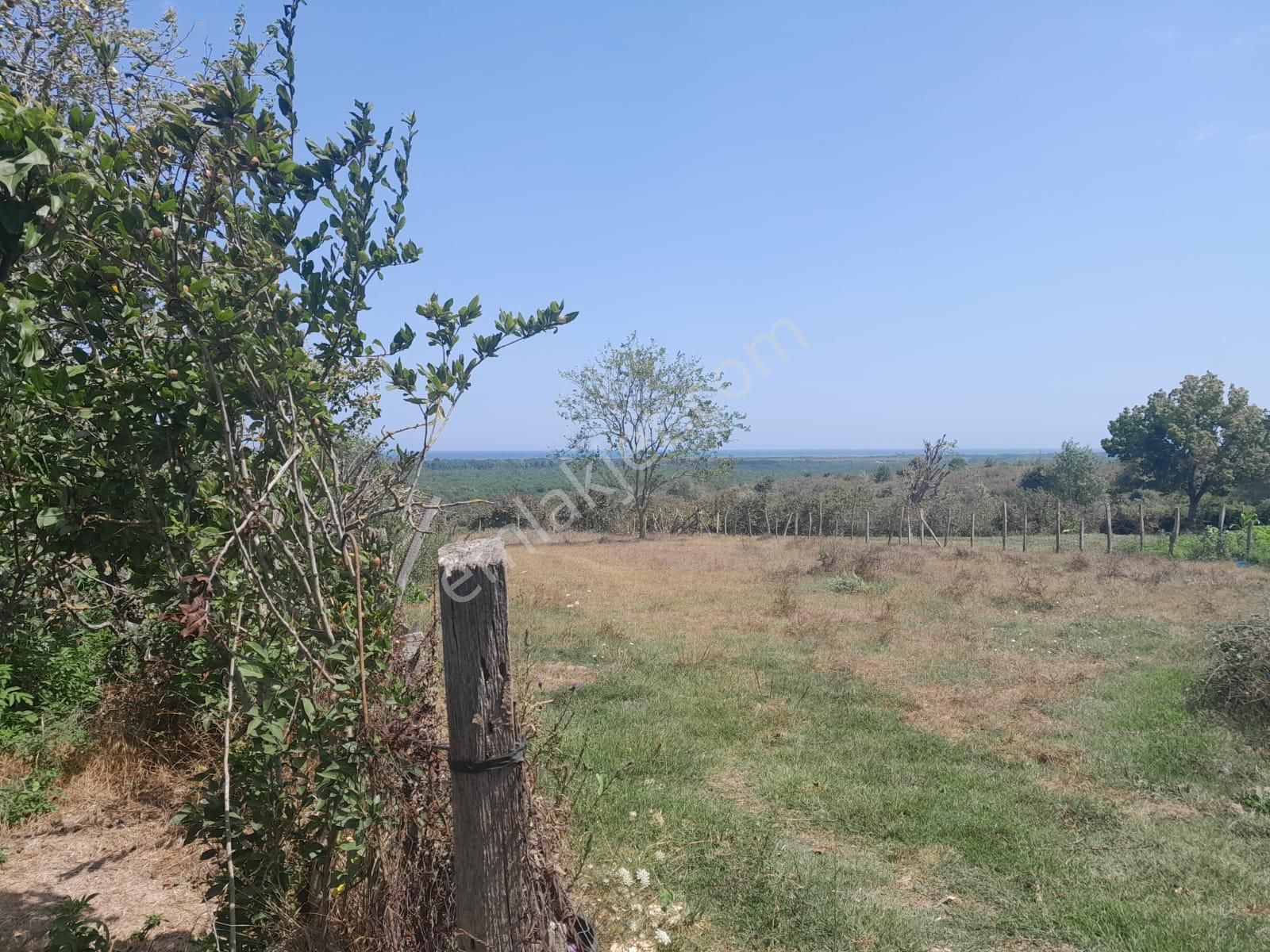 Taşlı Gecıt Satılılk Bahce Ve Tarla - Görsel 6