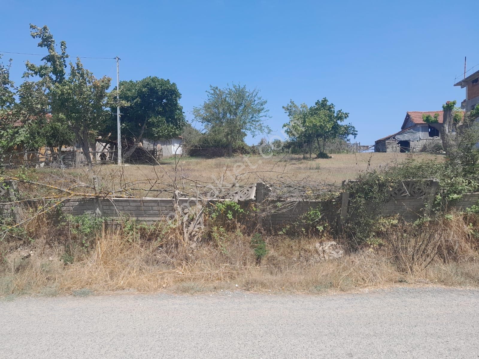 Taşlı Gecıt Satılılk Bahce Ve Tarla - Görsel 3