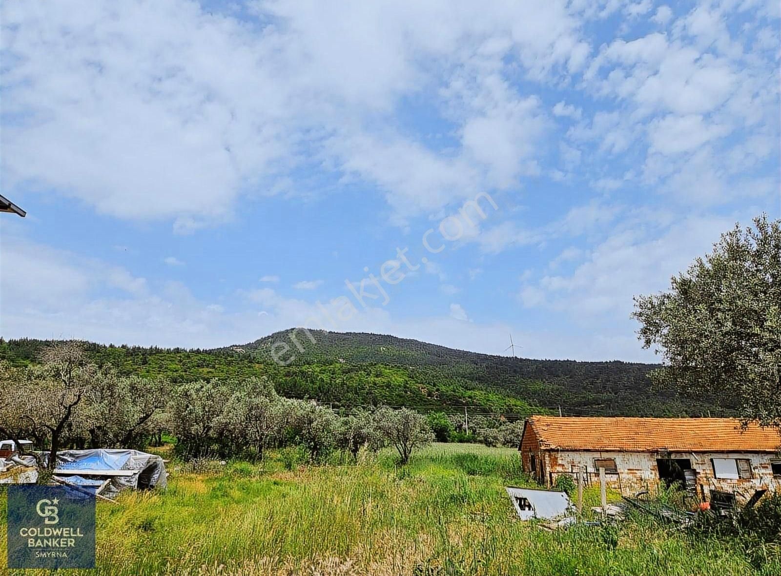 Kemalpaşa Vişneli Satılık Çiftlik - Görsel 4