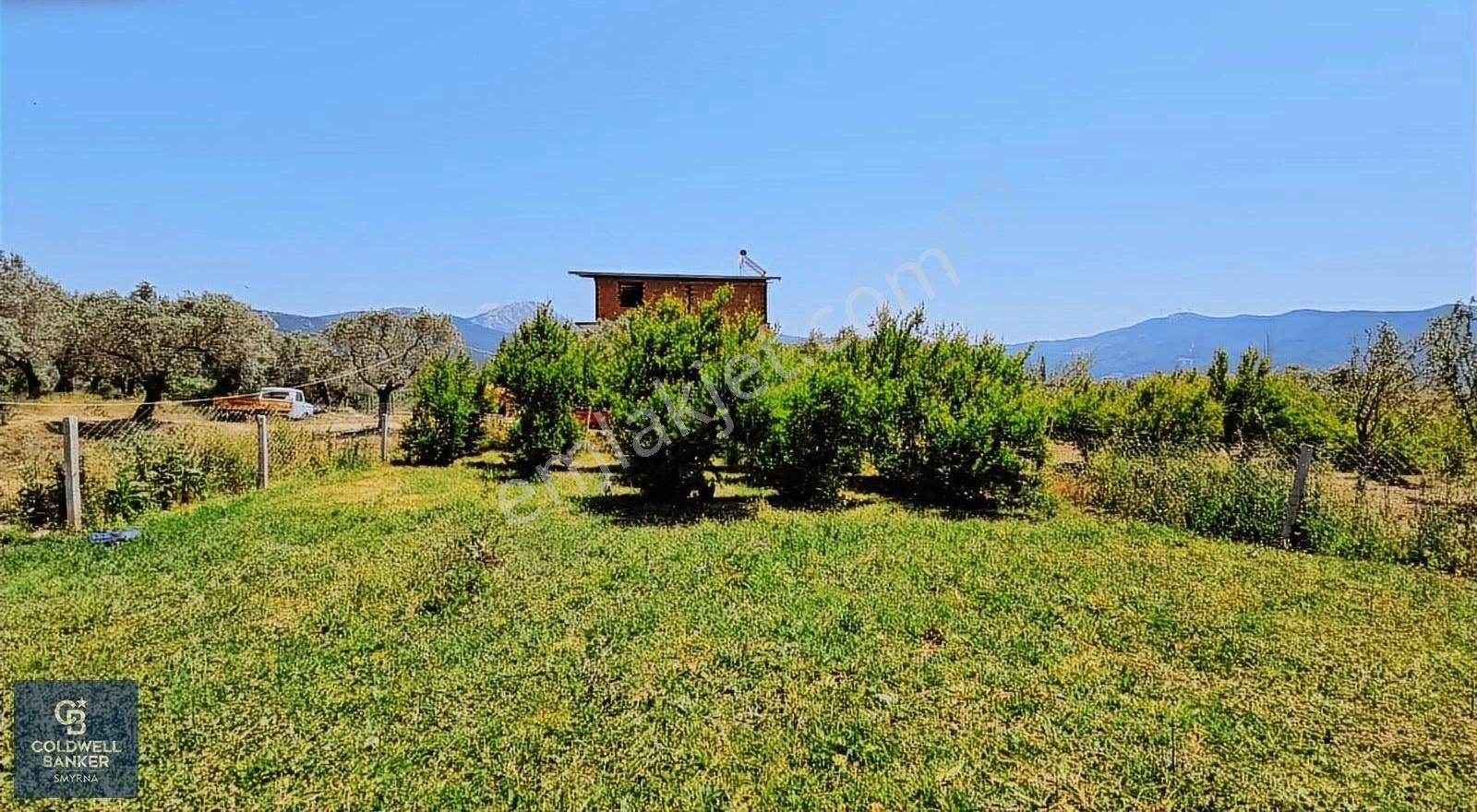 Kemalpaşa Vişneli Satılık Çiftlik - Görsel 29