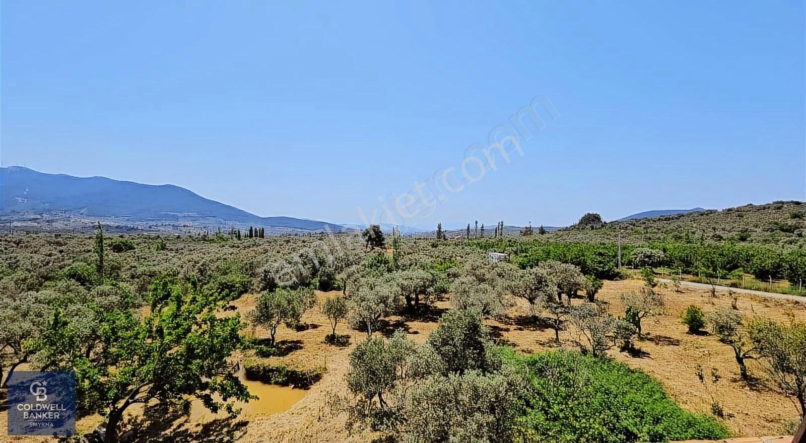 Kemalpaşa Vişneli Satılık Çiftlik - Görsel 2