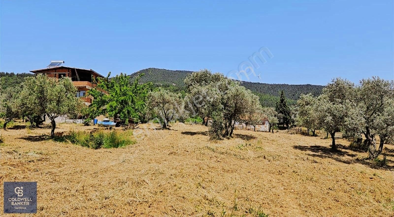 Kemalpaşa Vişneli Satılık Çiftlik - Görsel 9