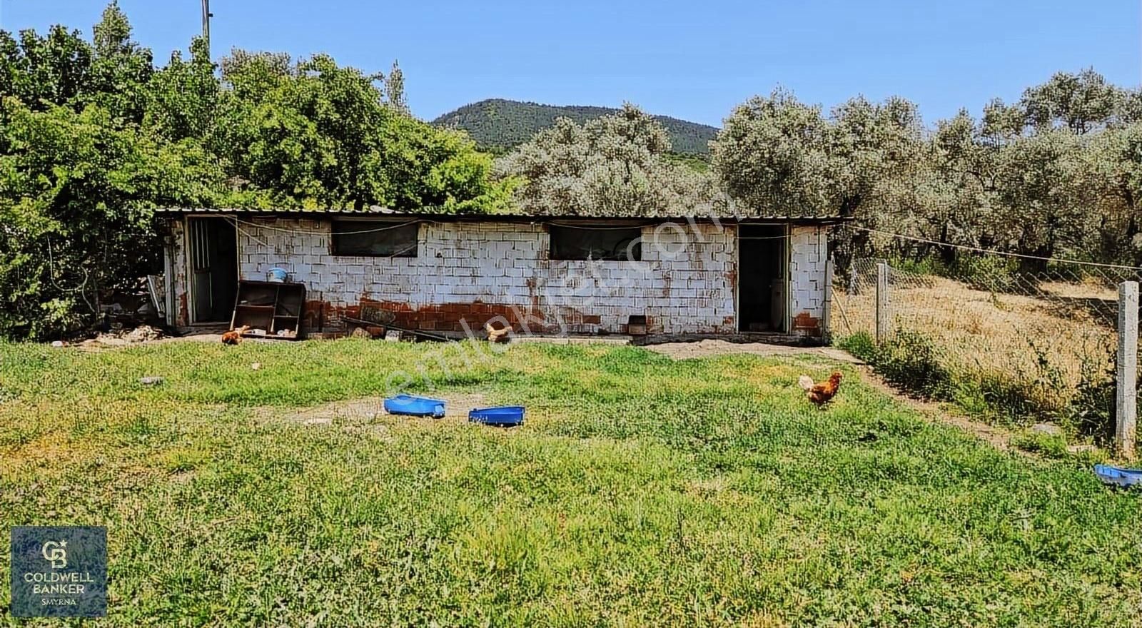 Kemalpaşa Vişneli Satılık Çiftlik - Görsel 10