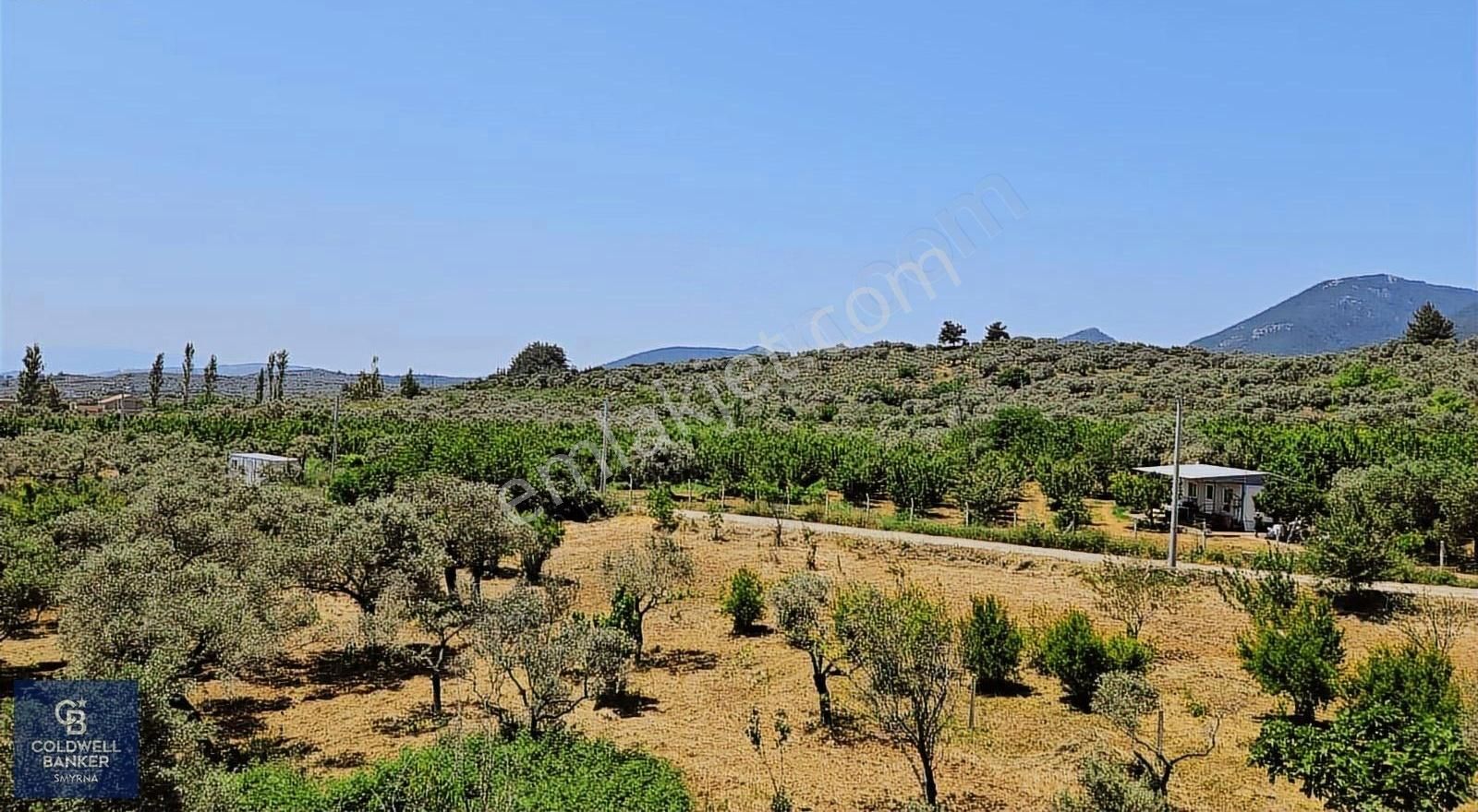 Kemalpaşa Vişneli Satılık Çiftlik - Görsel 18