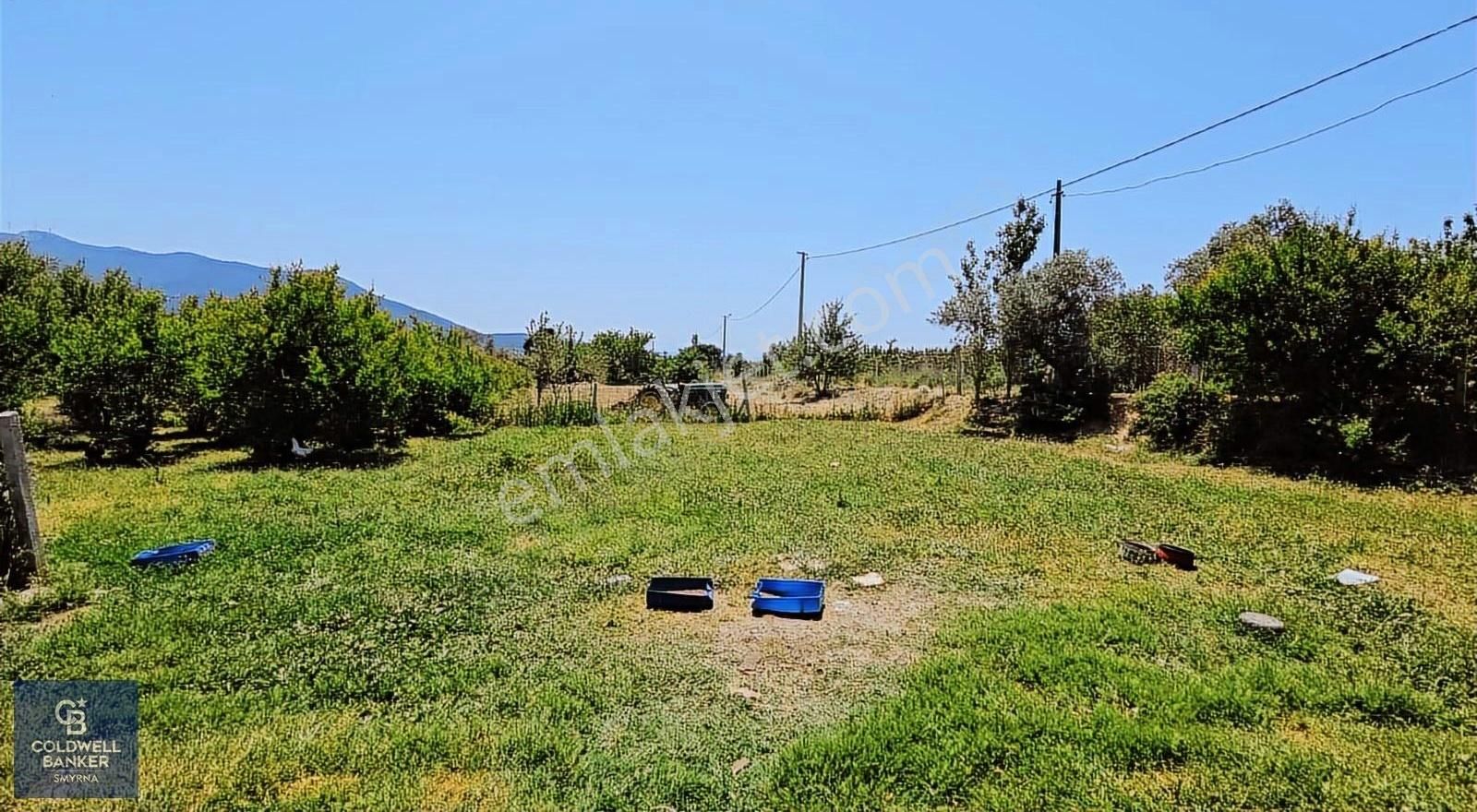 Kemalpaşa Vişneli Satılık Çiftlik - Görsel 14