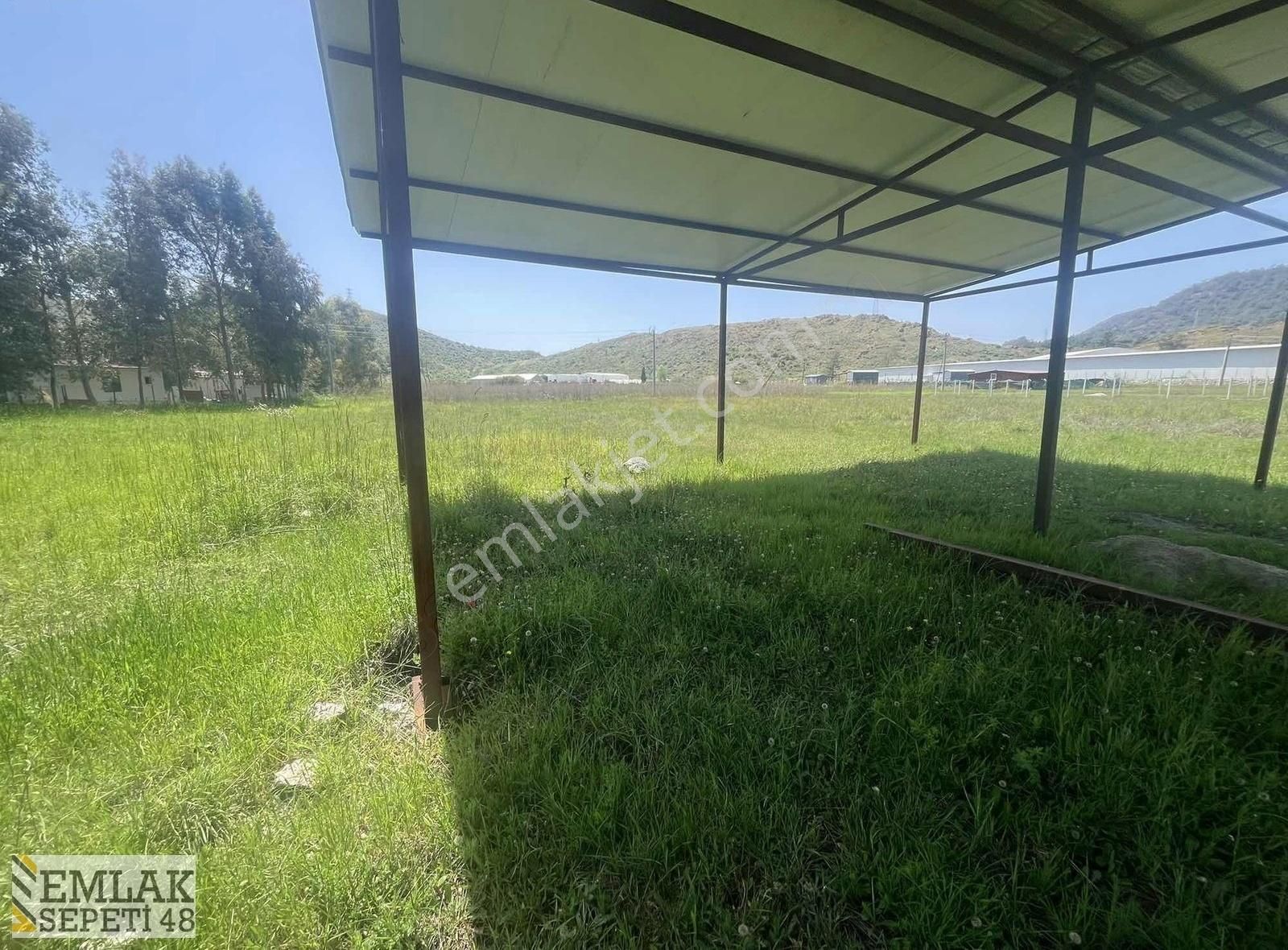 Hisarönü Dibek Tepe Mevki Tarla - Görsel 4