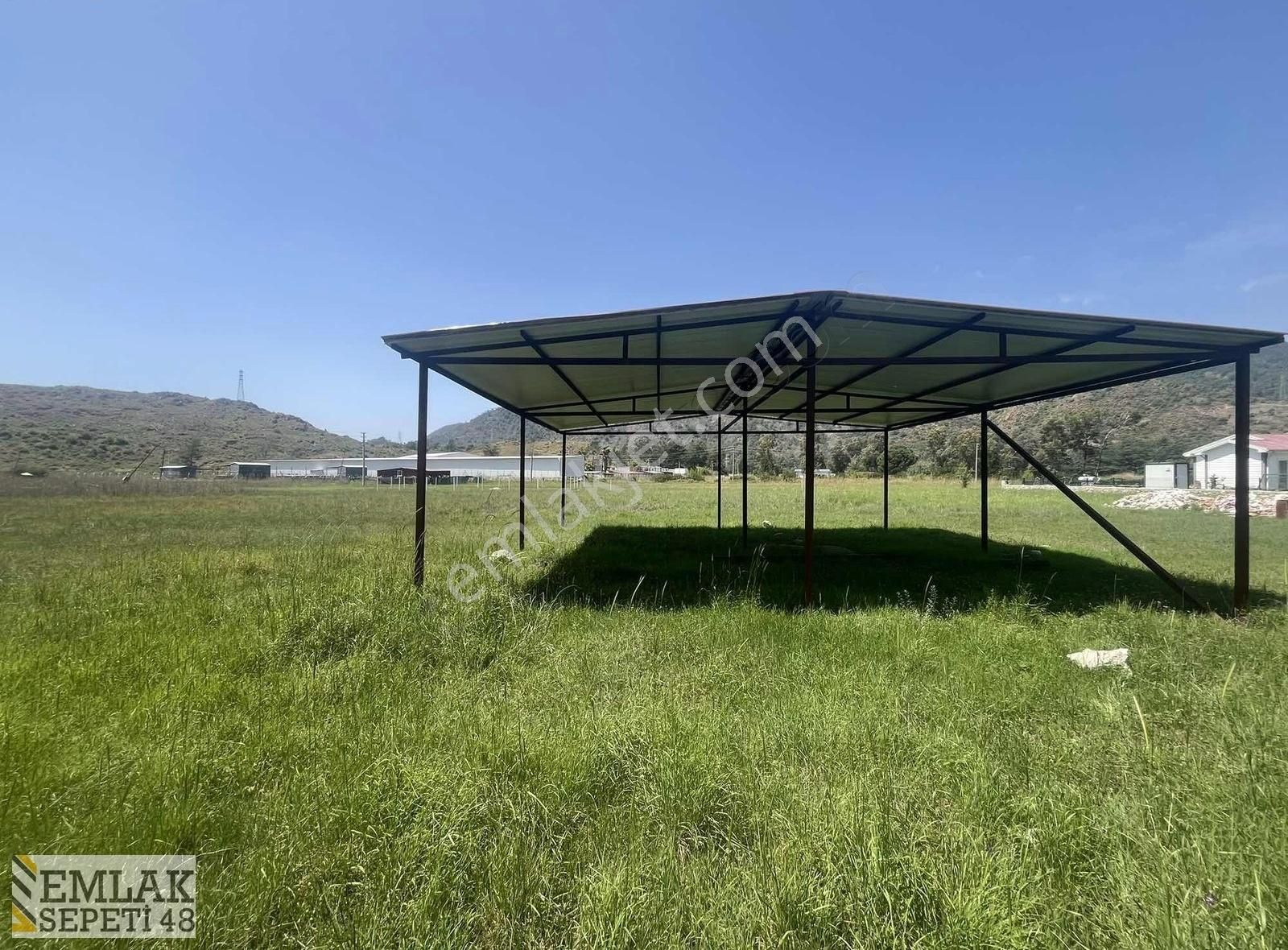 Hisarönü Dibek Tepe Mevki Tarla
