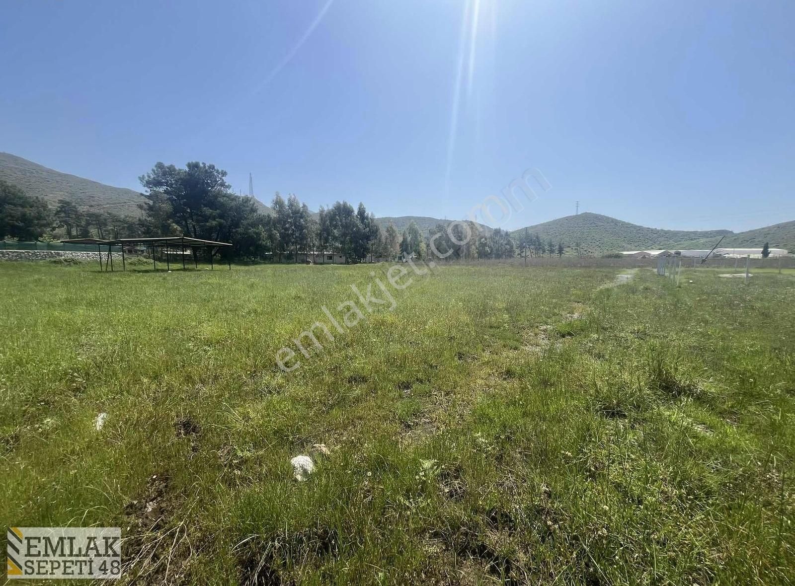 Hisarönü Dibek Tepe Mevki Tarla - Görsel 2