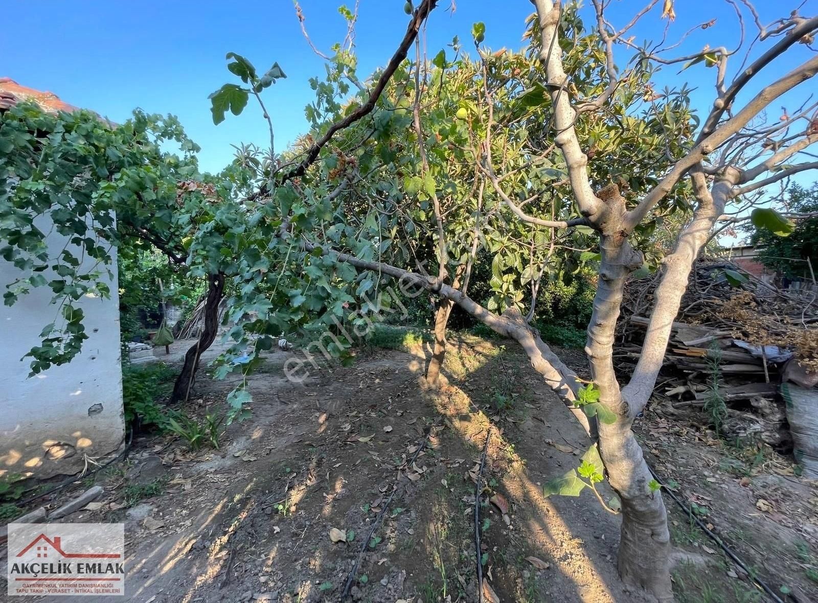 Aydın İncirliova Dereağzı Mah. Satılık 2+1 Müstakil Ev - Görsel 2