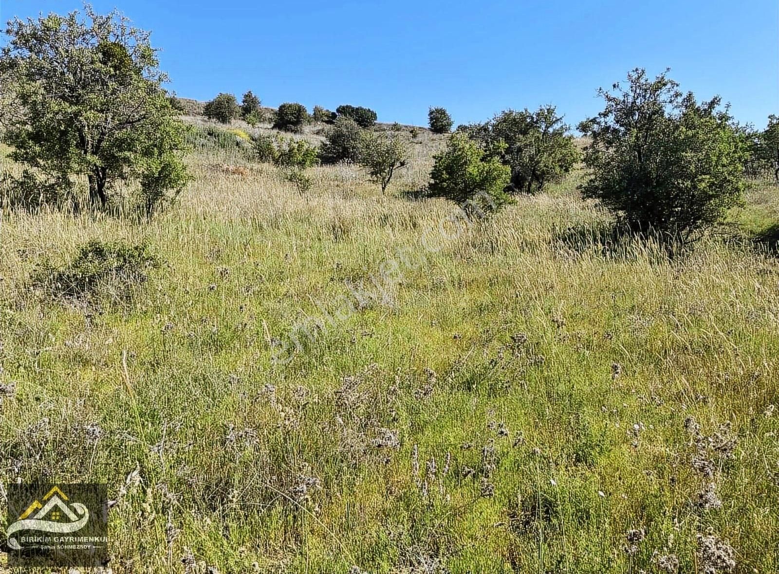 İstiklal Mahalesi 360 M2 Müstakil Arsa - Görsel 2