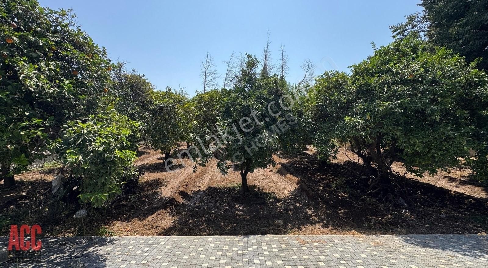 Acc Homes'tan Emsalsiz 2046 Metrekare Arsada Müstakil 4+1 Villa - Görsel 5