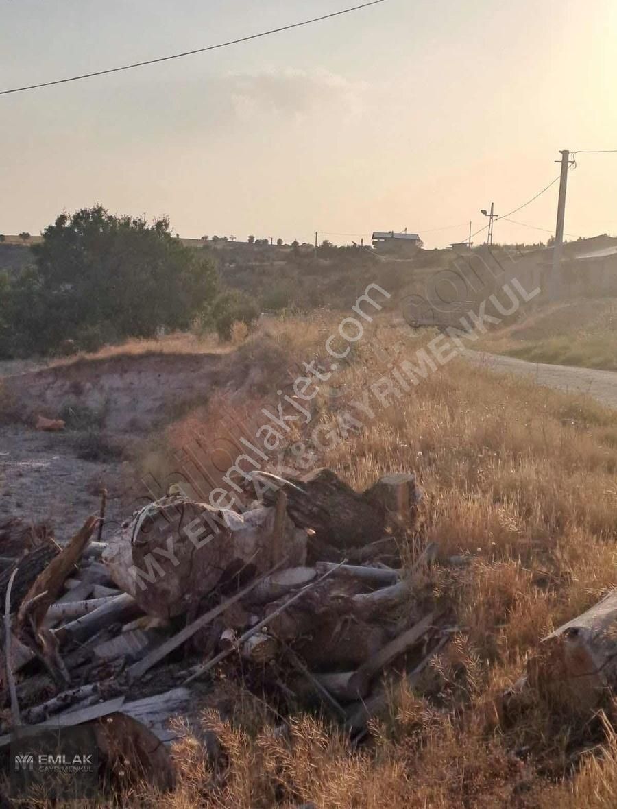 My Emlak&gayrimenkulden Satılık Besihane - Görsel 2