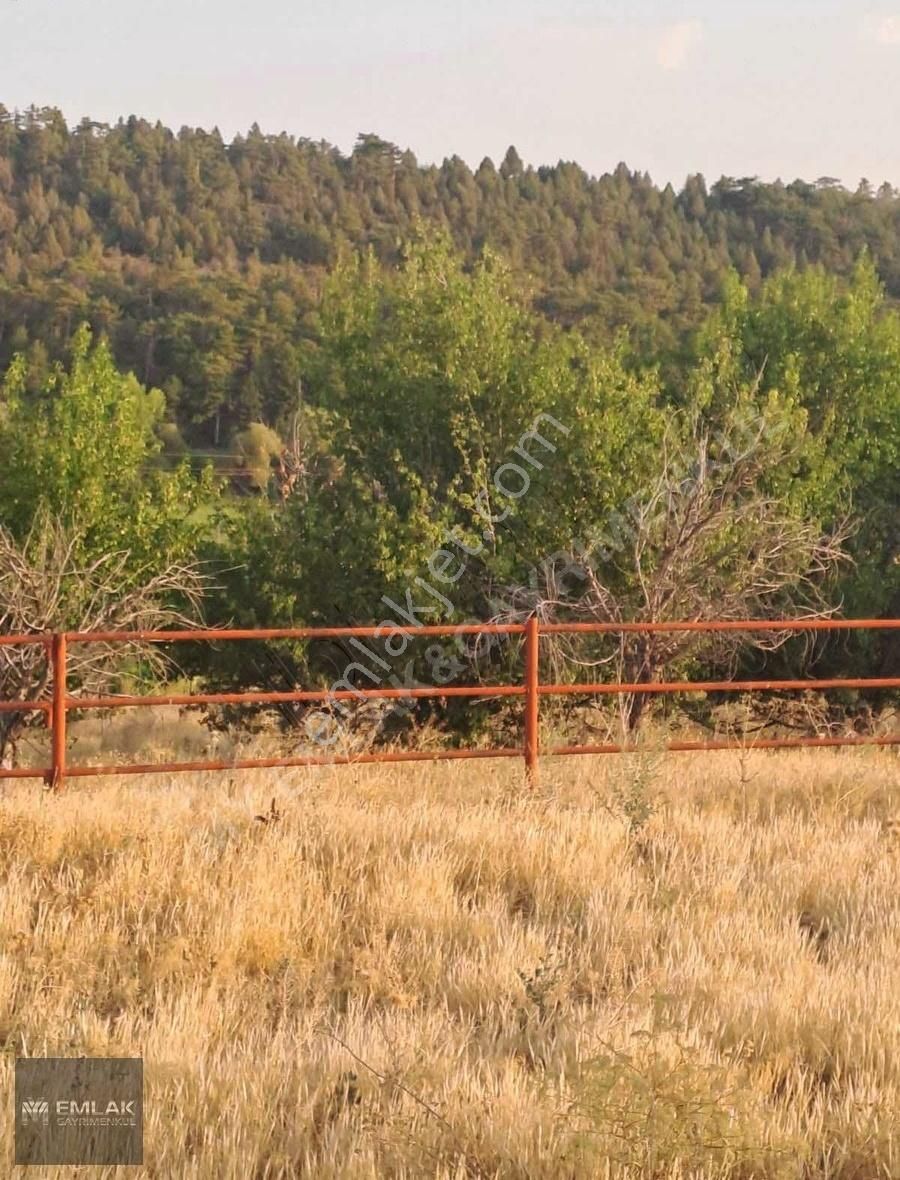 My Emlak&gayrimenkulden Satılık Besihane - Görsel 4