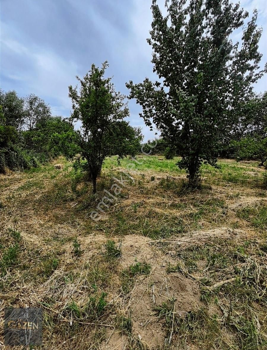 Gözen Emlak Güvencesiyle Umurluda Bahçeler - Görsel 9