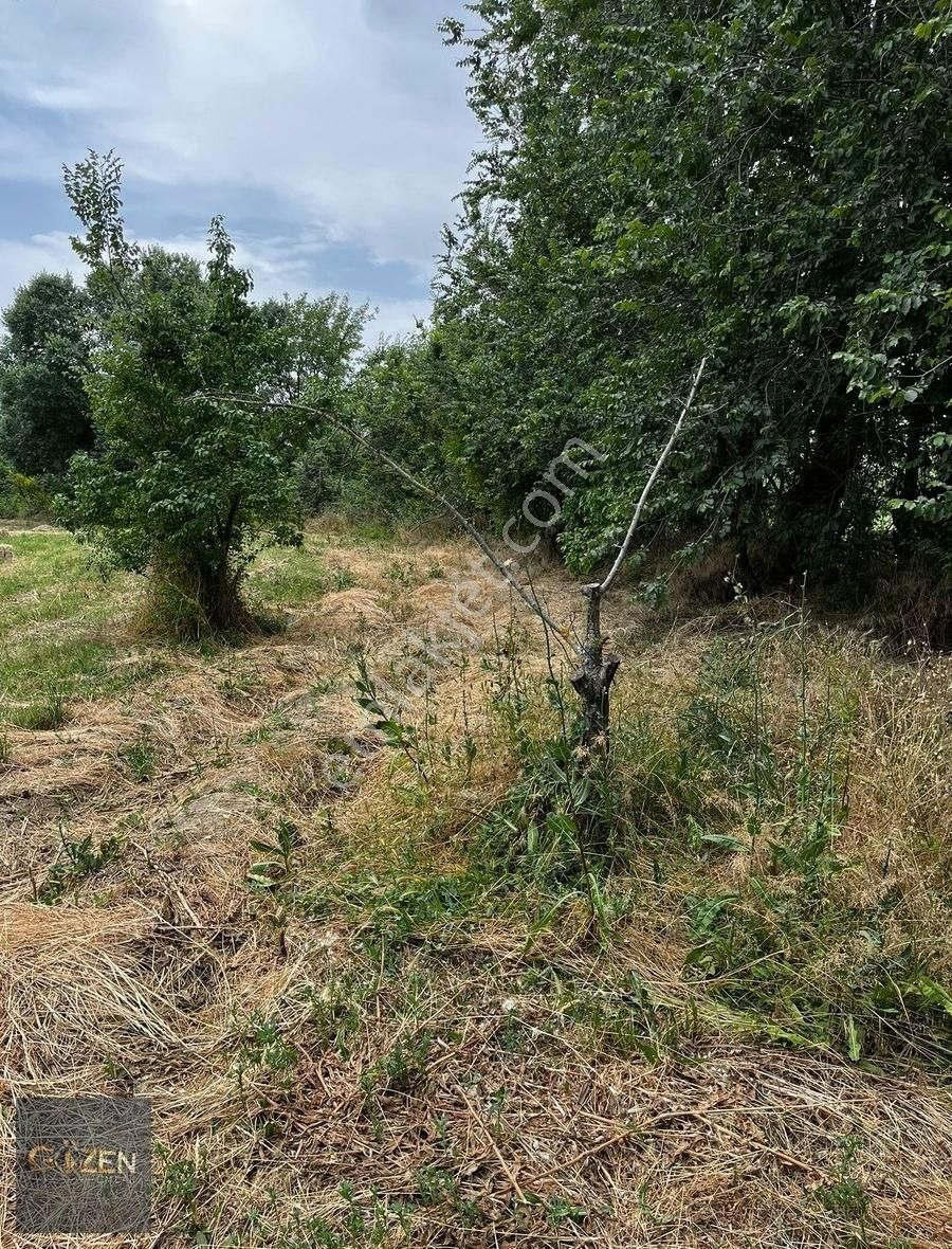 Gözen Emlak Güvencesiyle Umurluda Bahçeler - Görsel 2