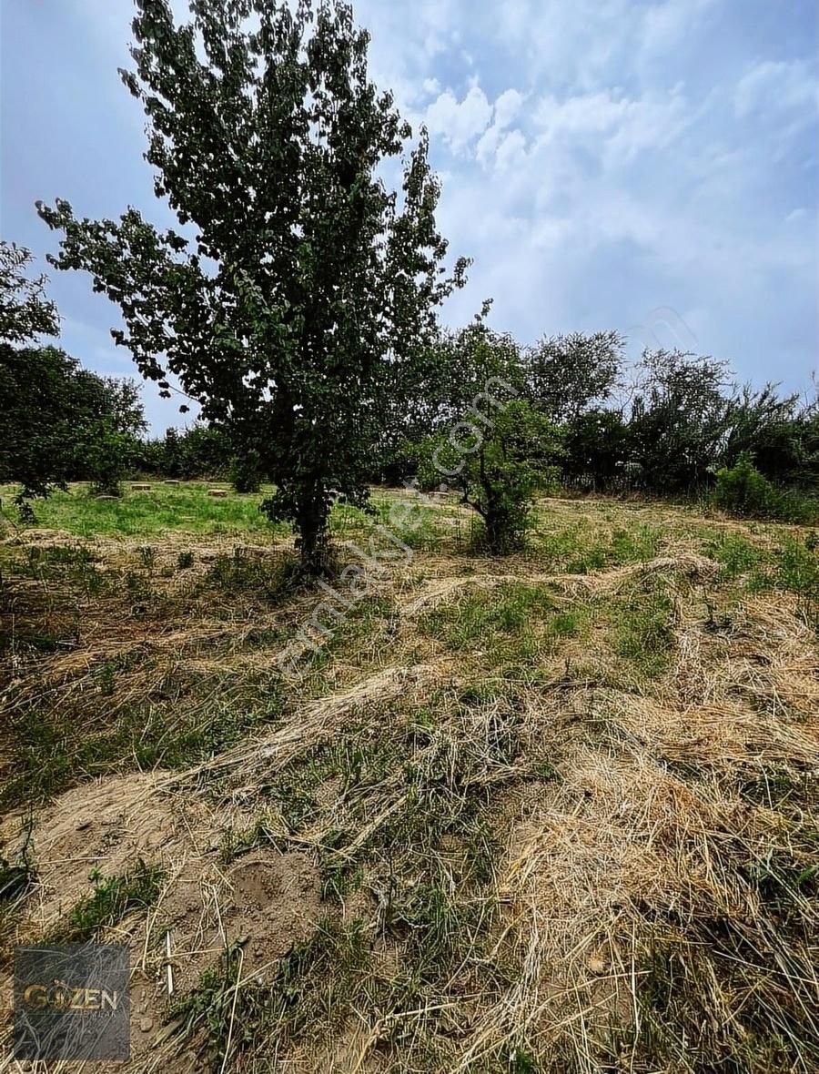 Gözen Emlak Güvencesiyle Umurluda Bahçeler - Görsel 3